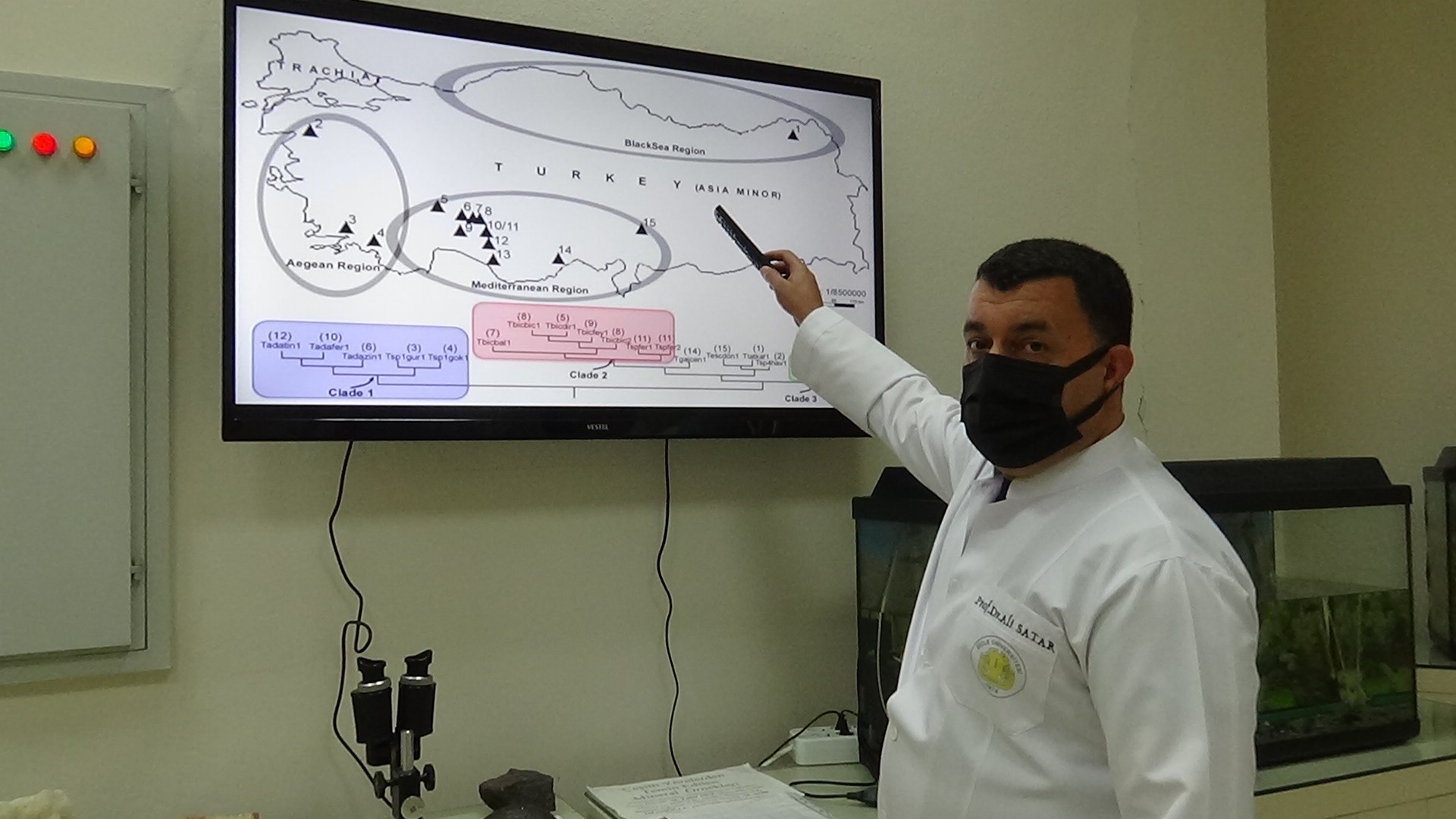 Güneydoğu Anadolu Bölgesinde ilk defa mağara çekirgesi görüldü