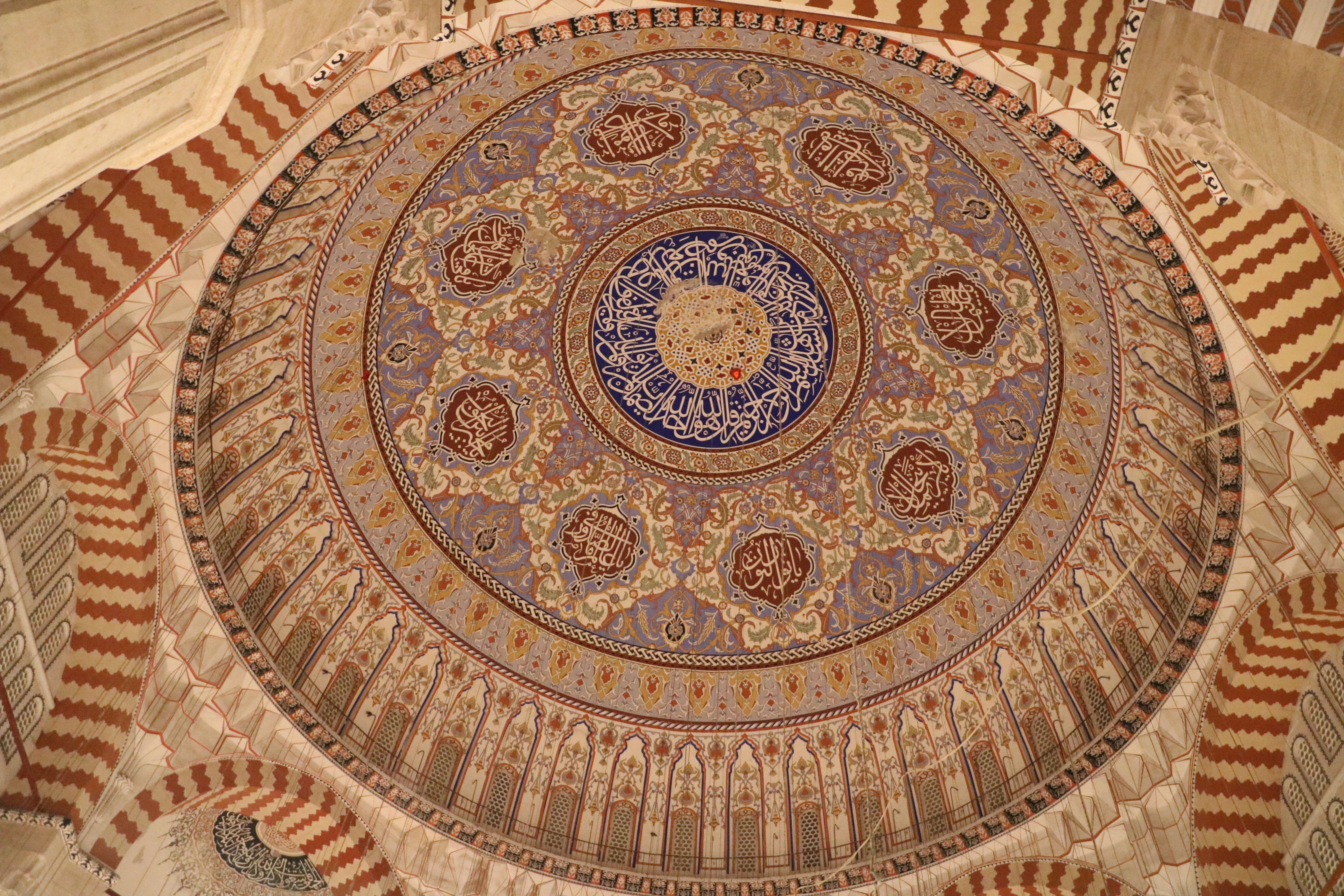 'Selimiye Camii' üzerinde martıların görsel şöleni