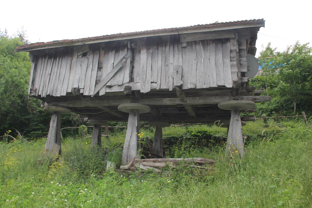Karadeniz’in mühendislik harikası: Serender