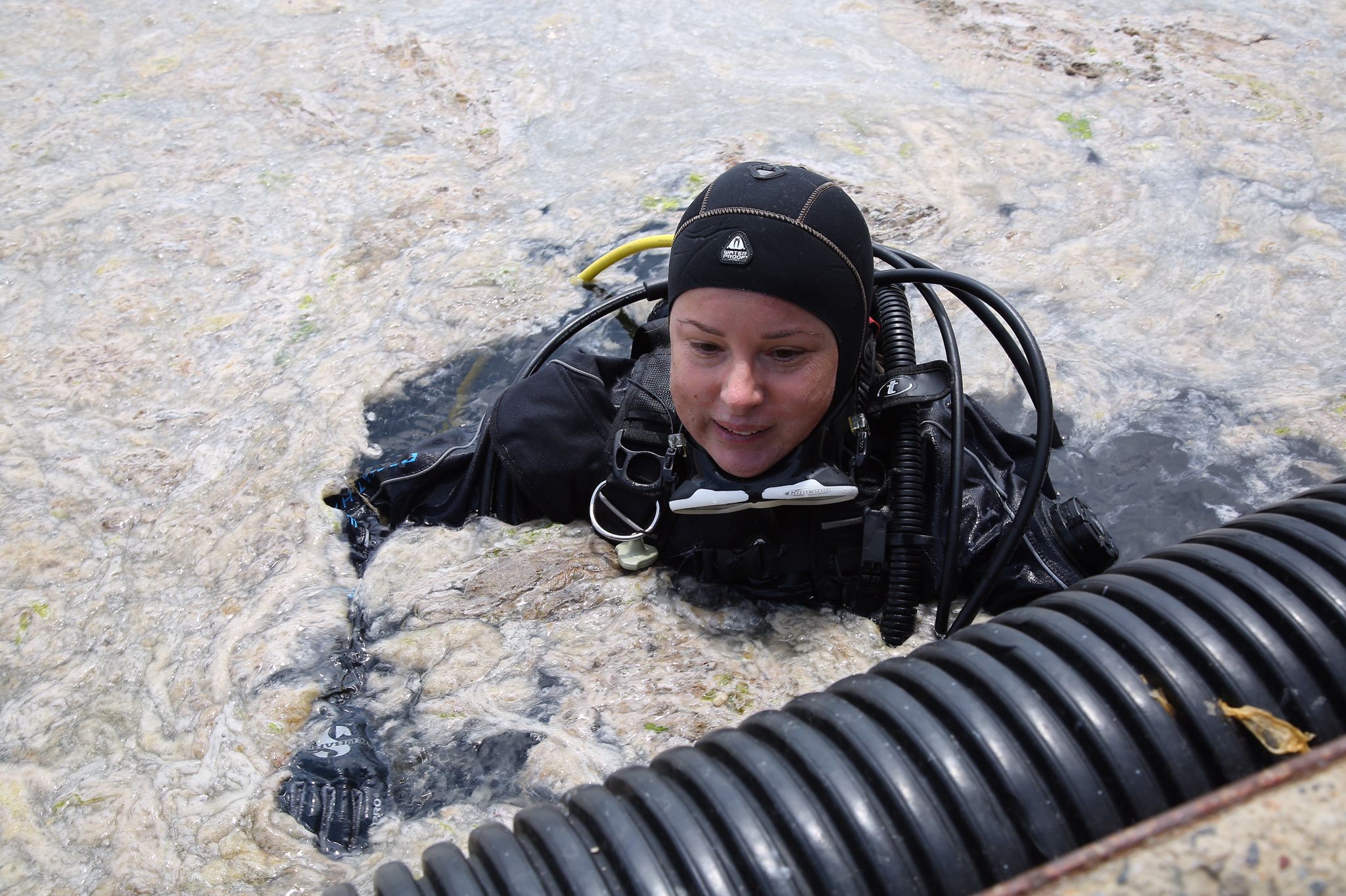 Müsilajla mücadele seferberliği Caddebostan Sahili'nde başladı
