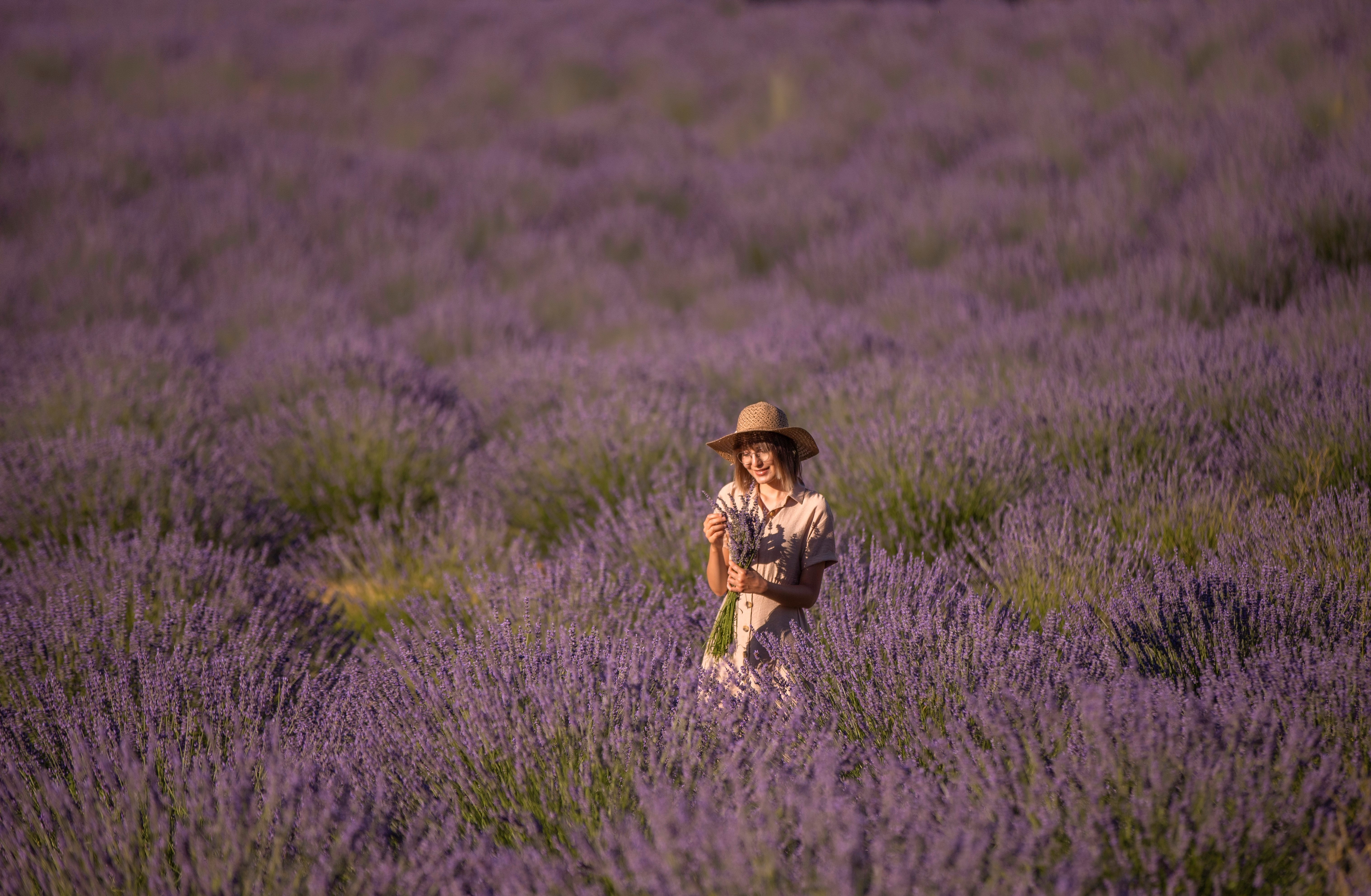 Deterjan ve kozmetik fabrikalarının gözdesi o köy hasada hazırlanıyor
