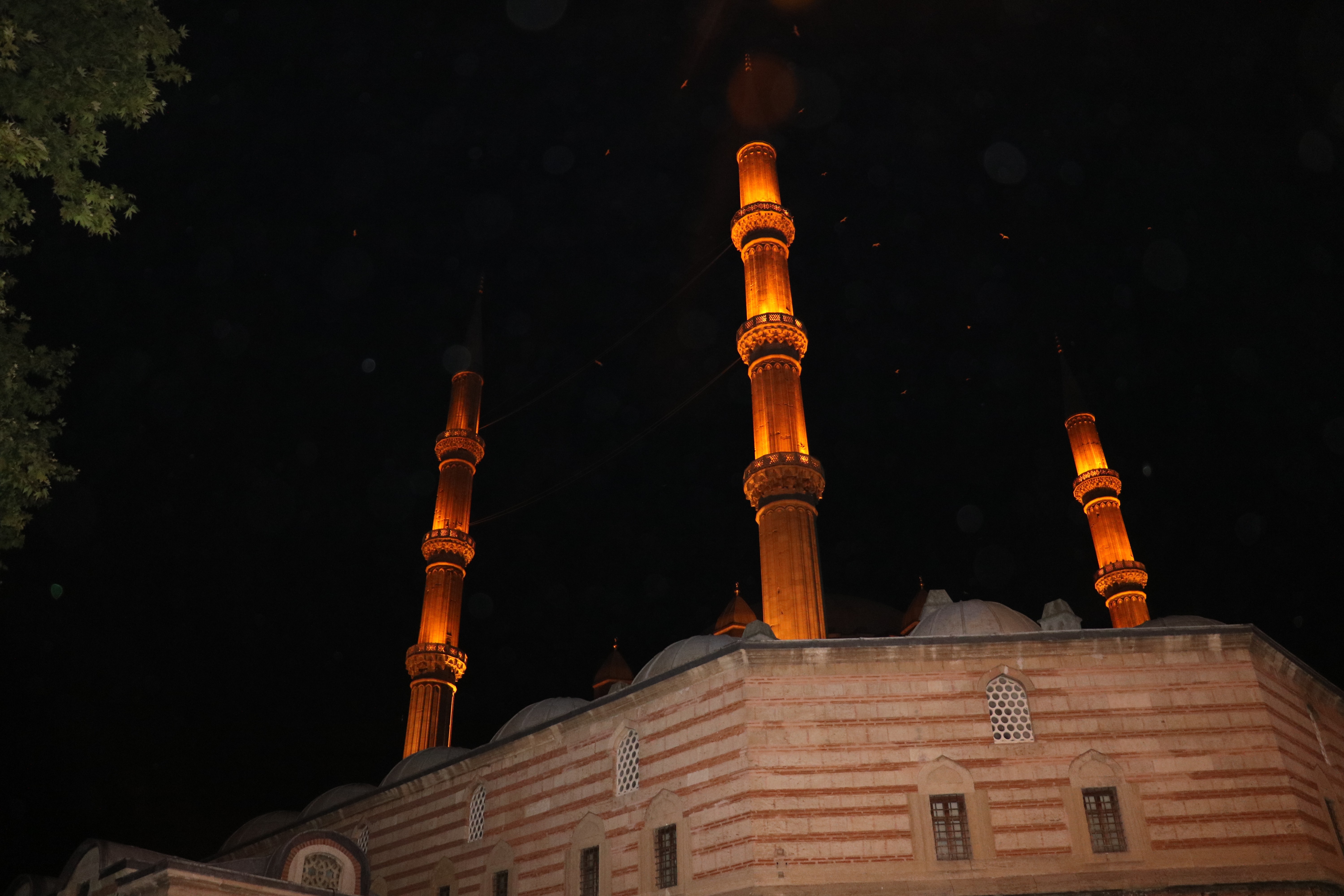 'Selimiye Camii' üzerinde martıların görsel şöleni