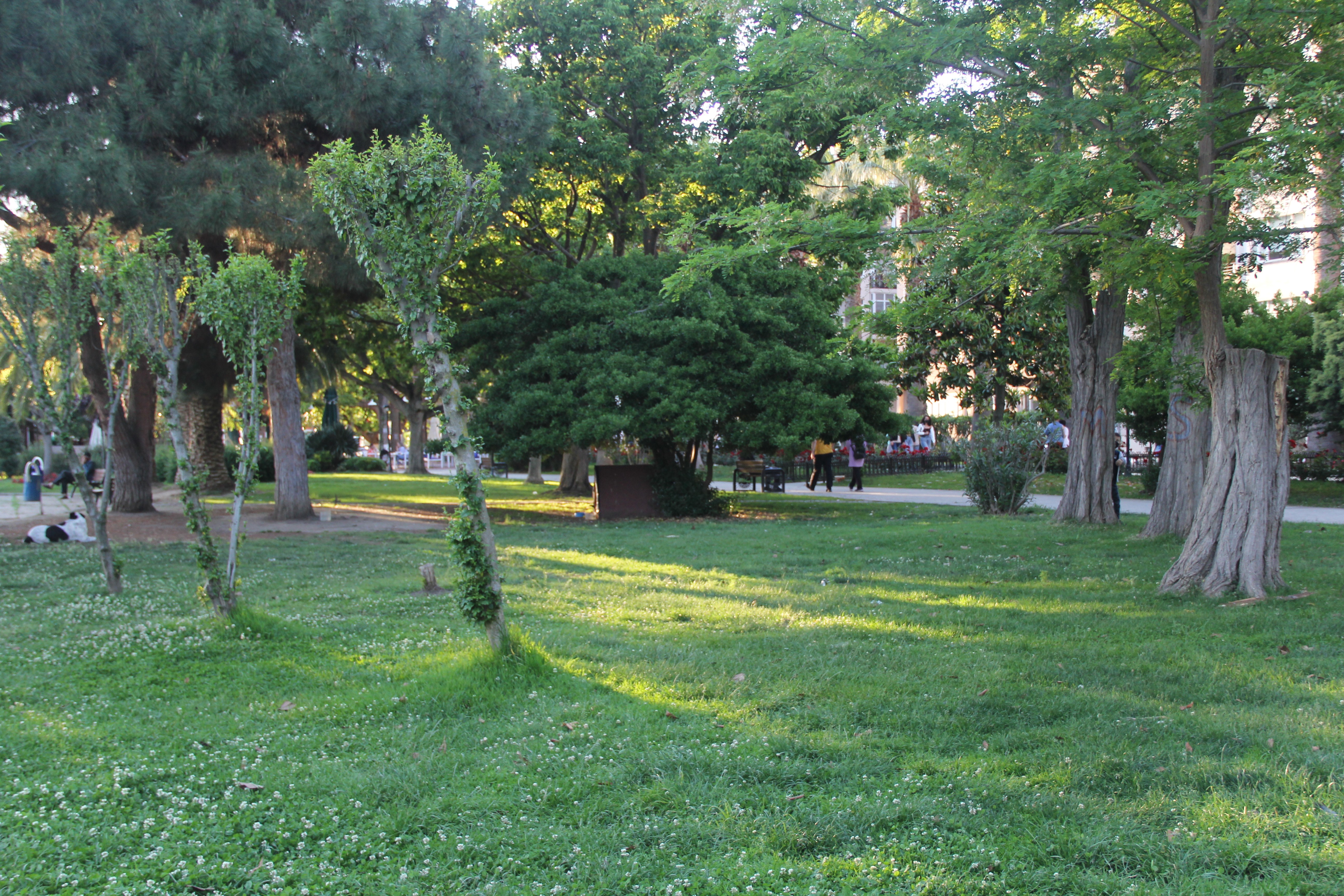 Bu hatalar öldürebilir: Kene ısırırsa bunu yapmayın
