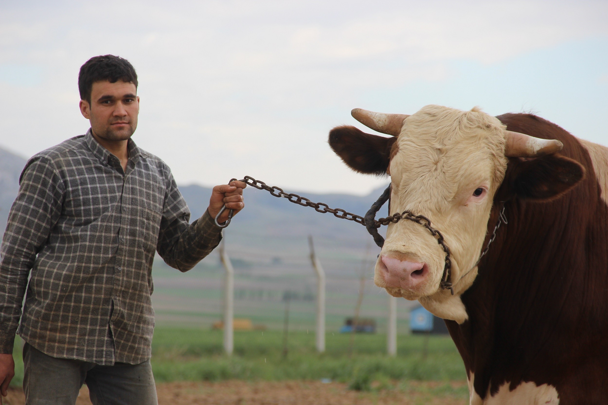 Fiyatıyla dudak uçuklatıyor, görenler gözlerine inanamıyor