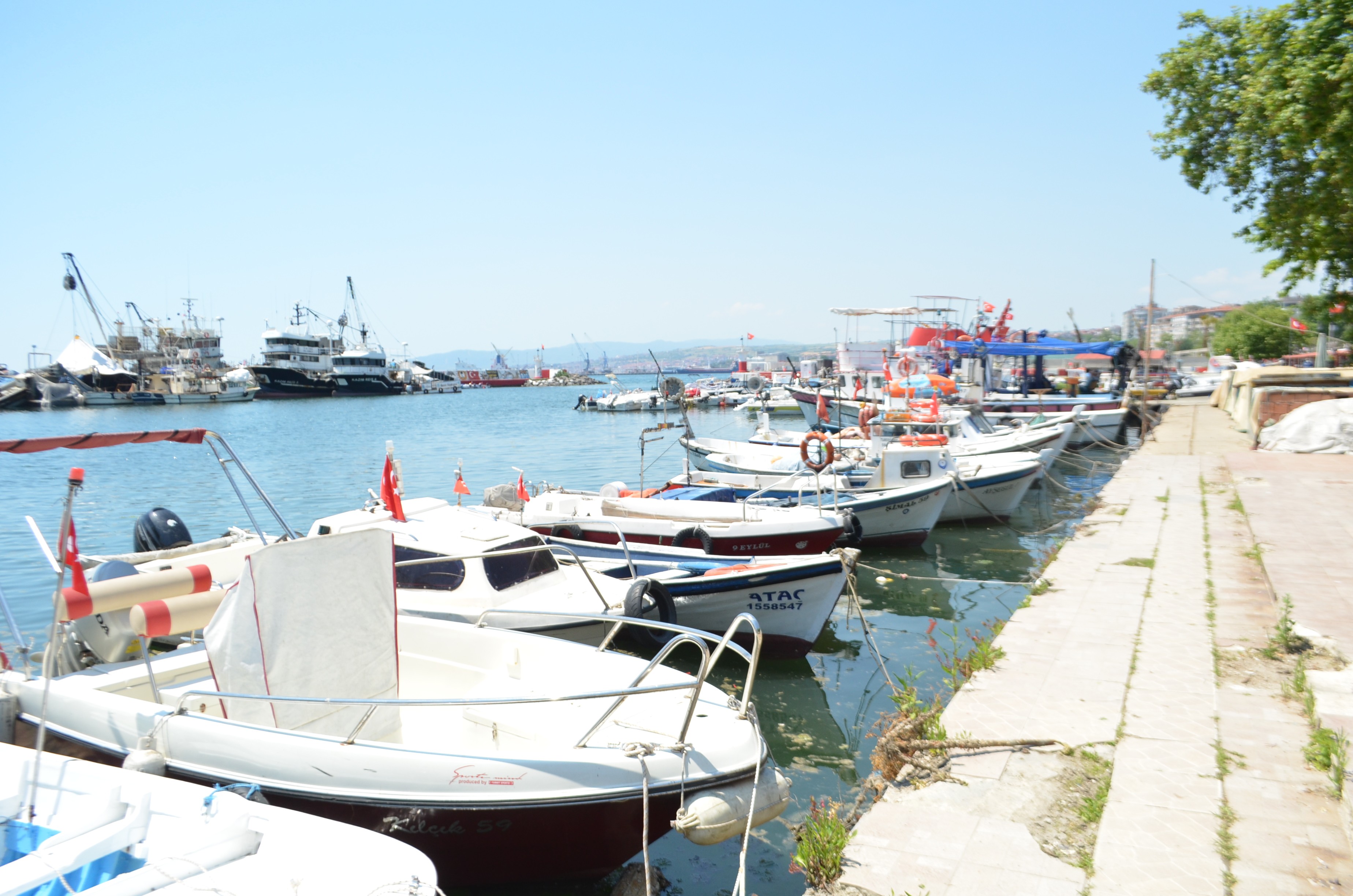 Salyanın ilk ortaya çıktığı Tekirdağ’da rahatlatan açıklama: 'Bunun sonu geldi diyebiliriz'
