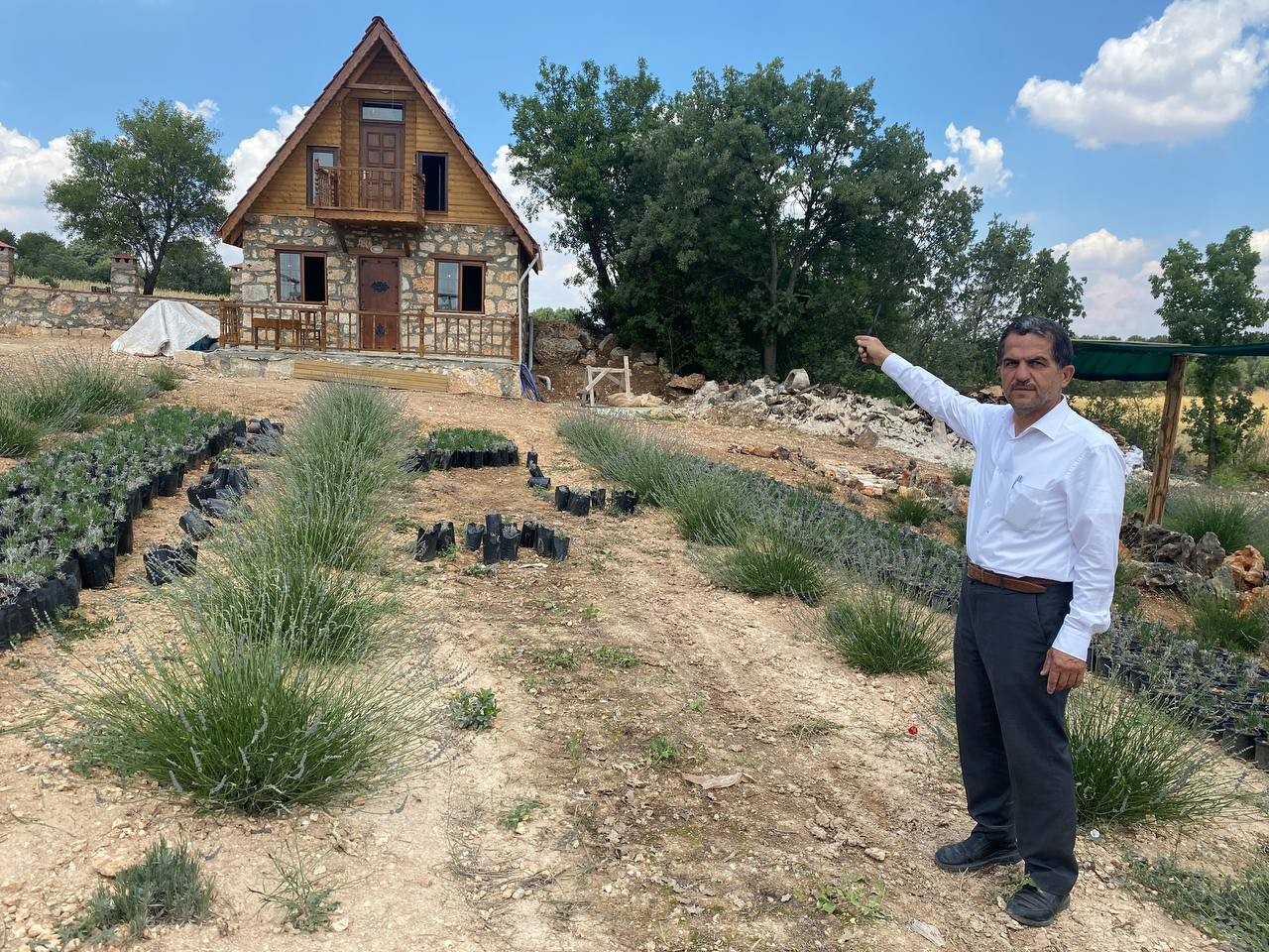 Gözler lavanta tarlalarına bu yıl 100 bin ziyaretçi bekleniyor