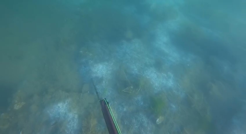 Müsilajın deniz altındaki tahribatı böyle görüntülendi