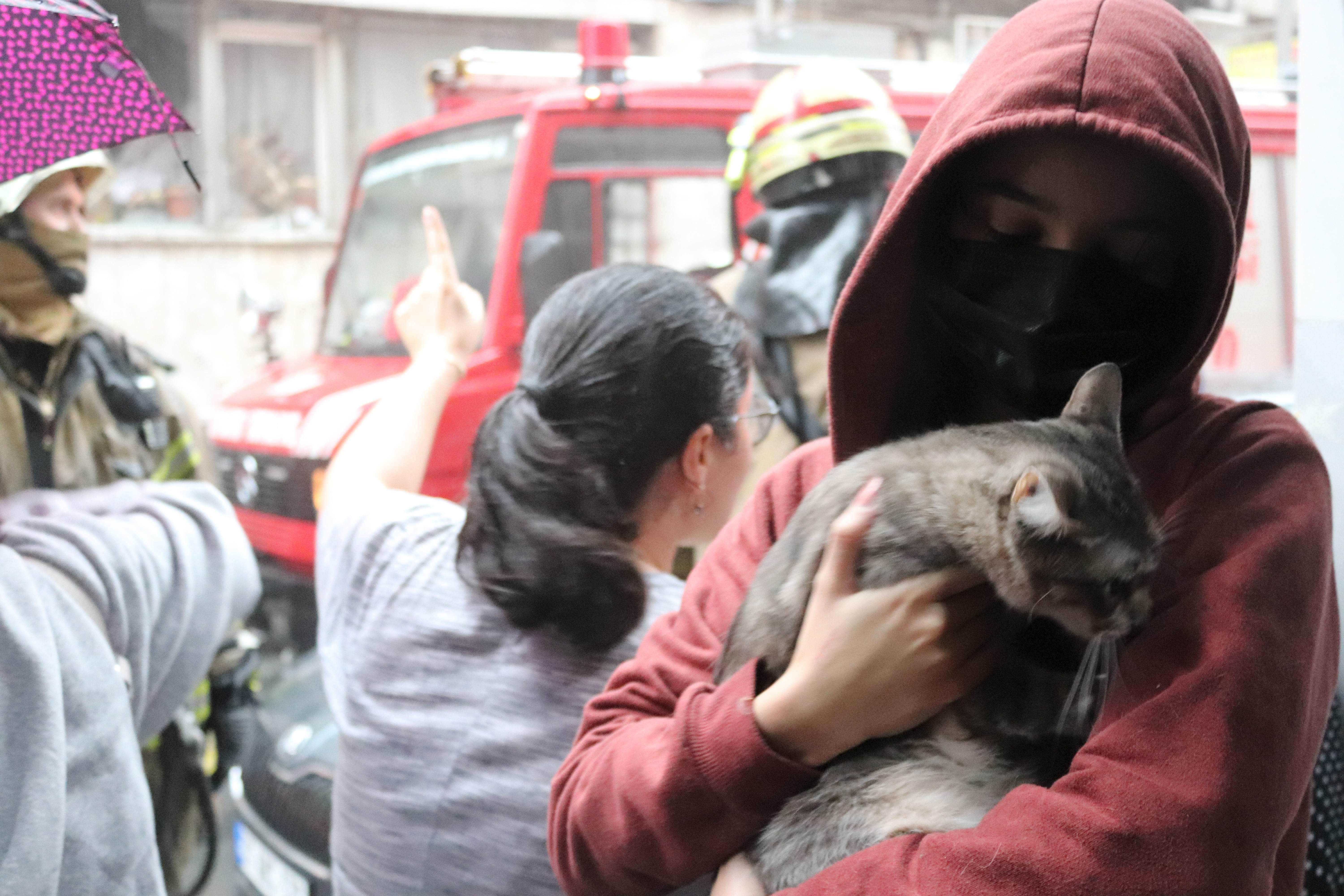 Vatandaşlar, yangında mahsur kalan kediyi kurtarmak için dumanların arasına daldı
