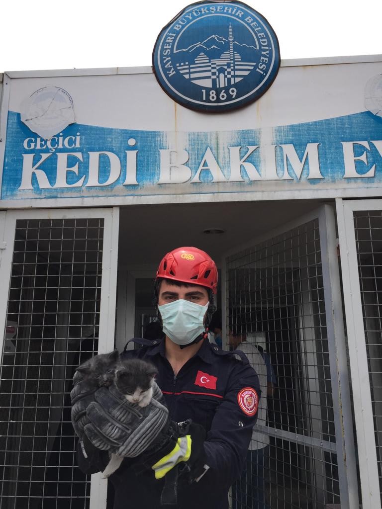 Duvardaki 3 metrelik dev yılan böyle yakalandı