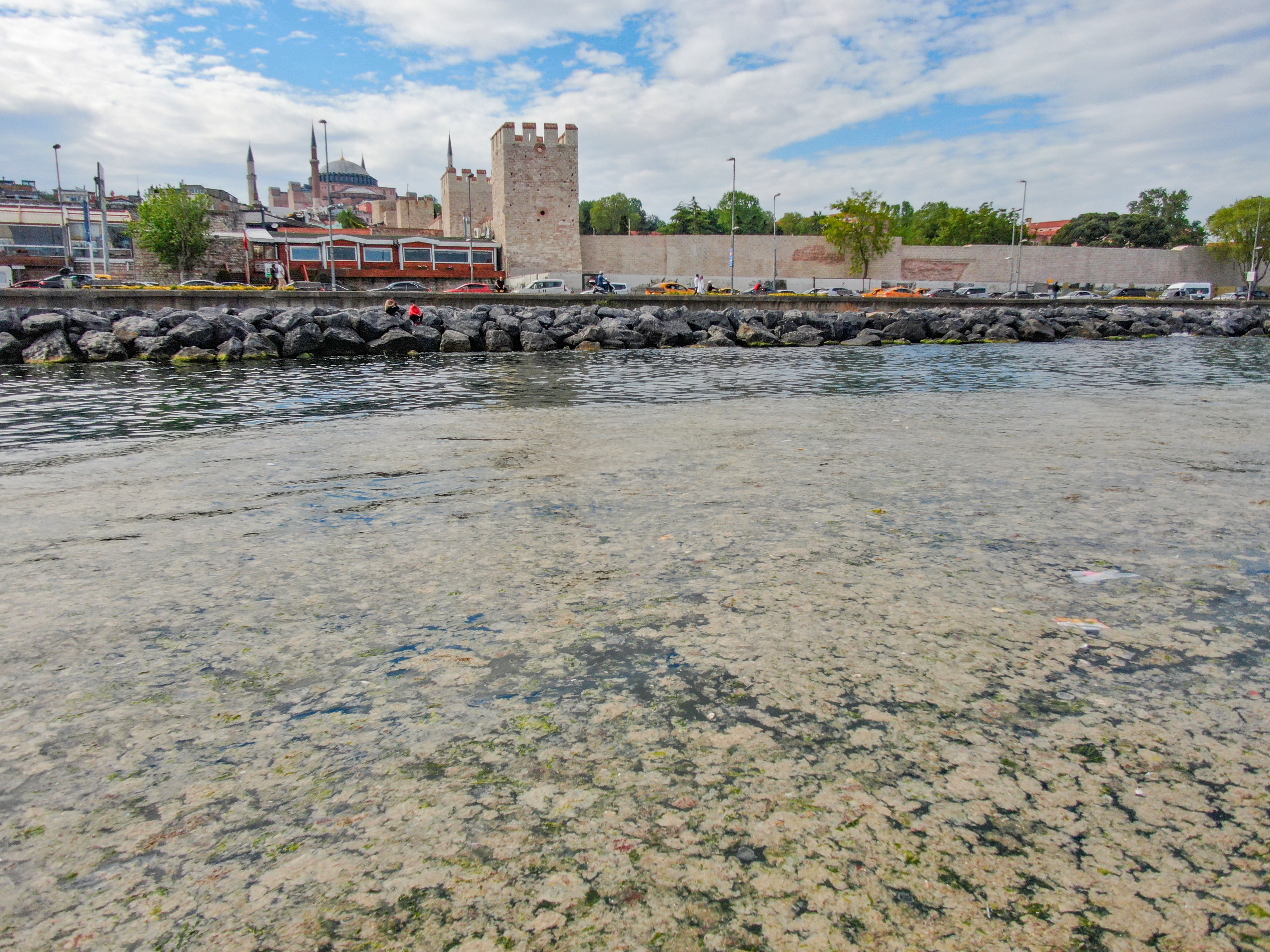 AK Parti Meclis Üyesi Özlem Erol’dan İBB’ye müsilaj eleştirisi