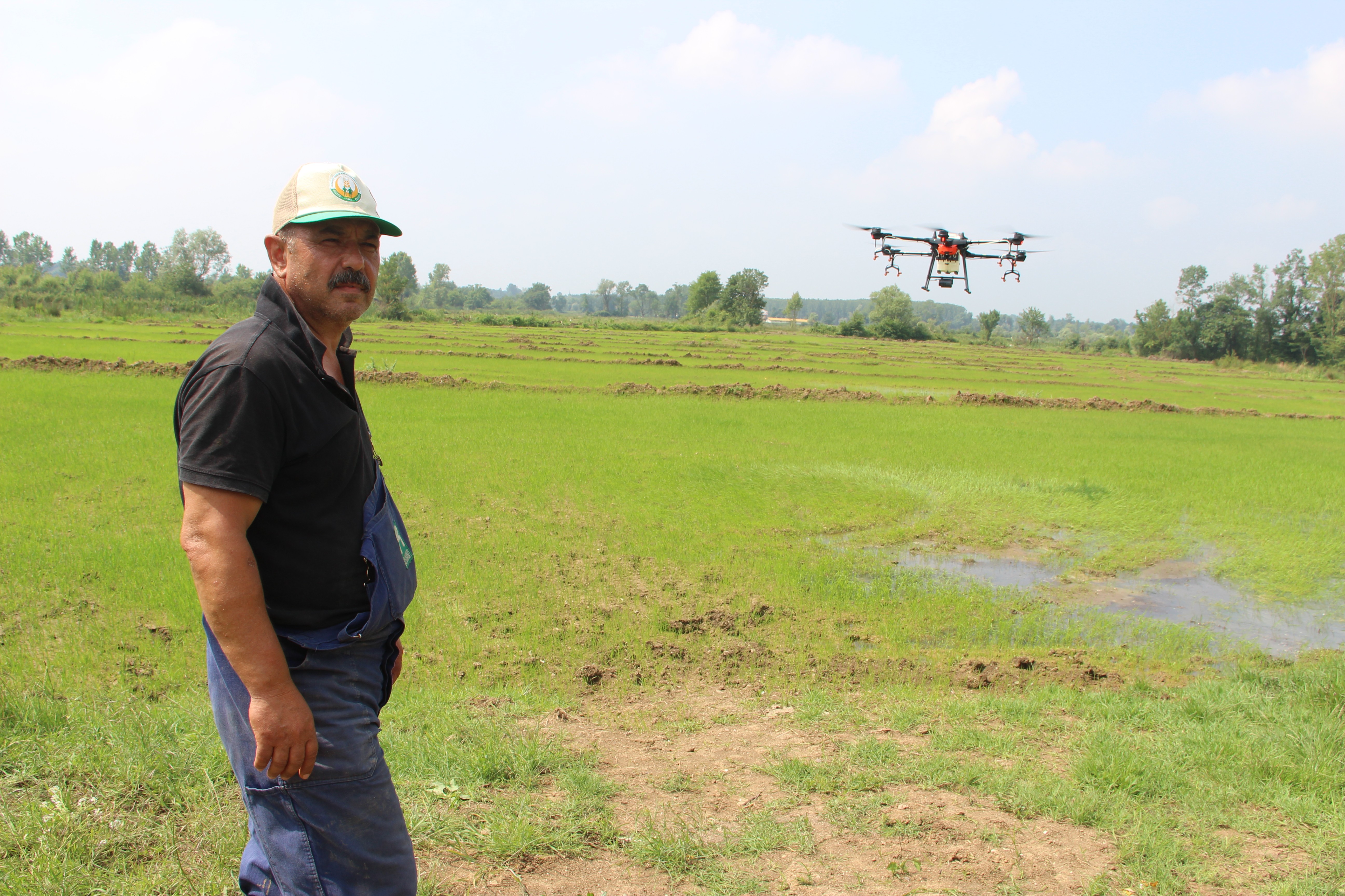 Çeltikte ZİHA dönemi