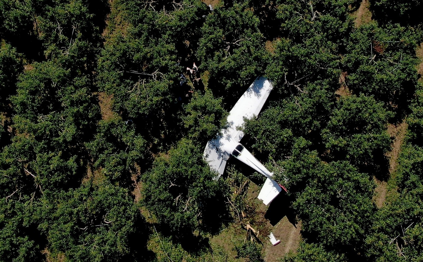 Meyve bahçesine zorunlu iniş yapan uçak drone ile havadan görüntülendi