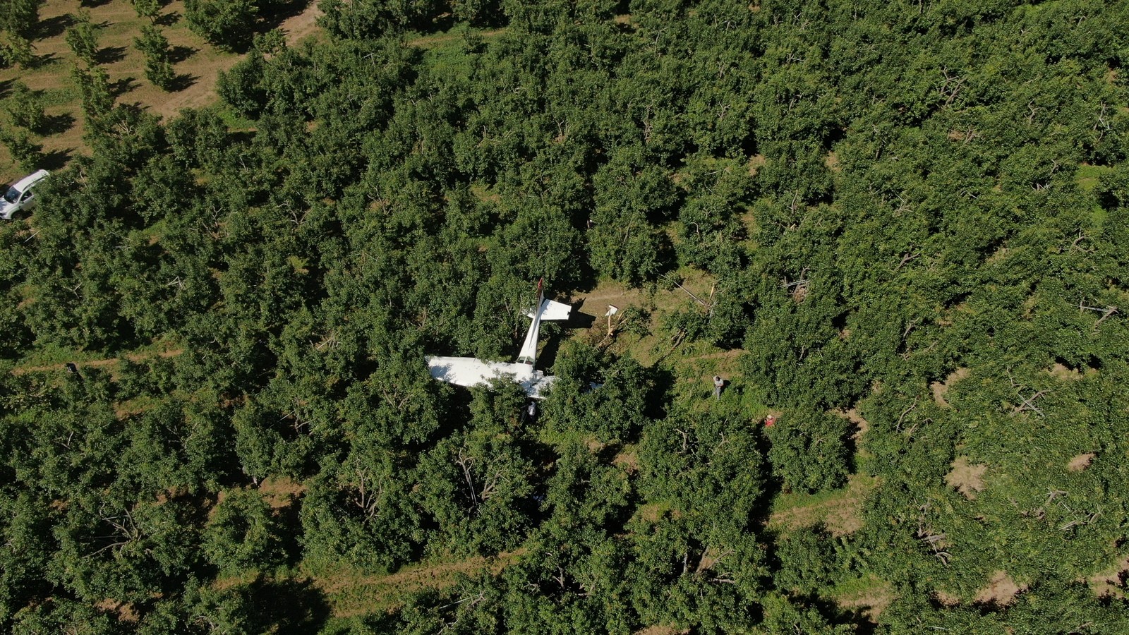 Meyve bahçesine zorunlu iniş yapan uçak drone ile havadan görüntülendi