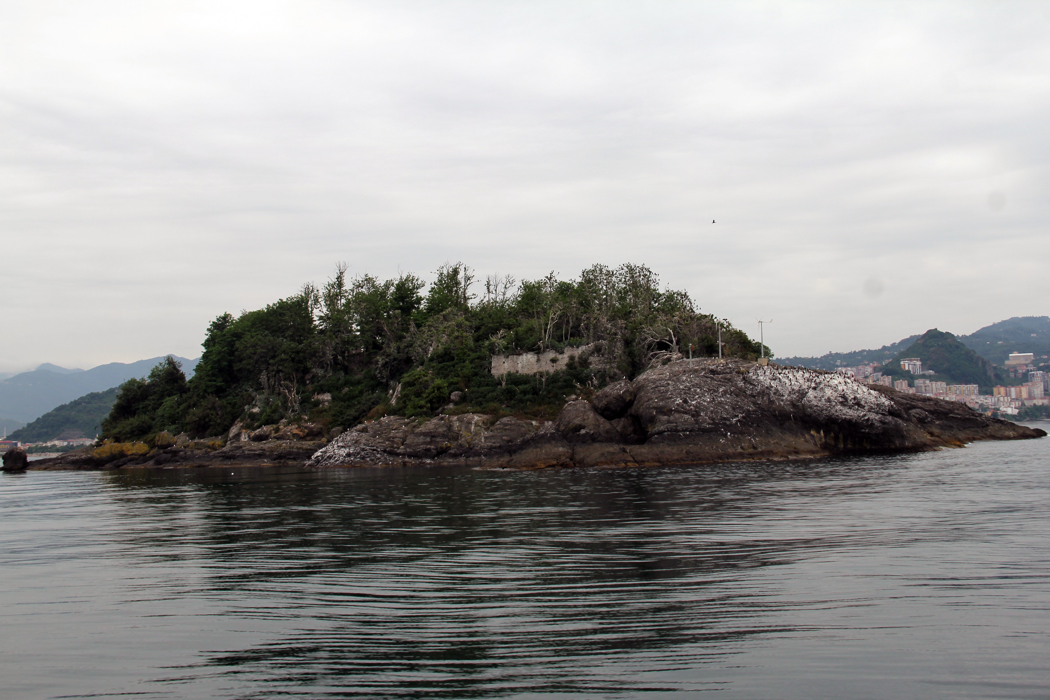 Karadeniz'in yaşanılabilir tek adası ziyaretçilerini ağırlamaya yeniden başladı