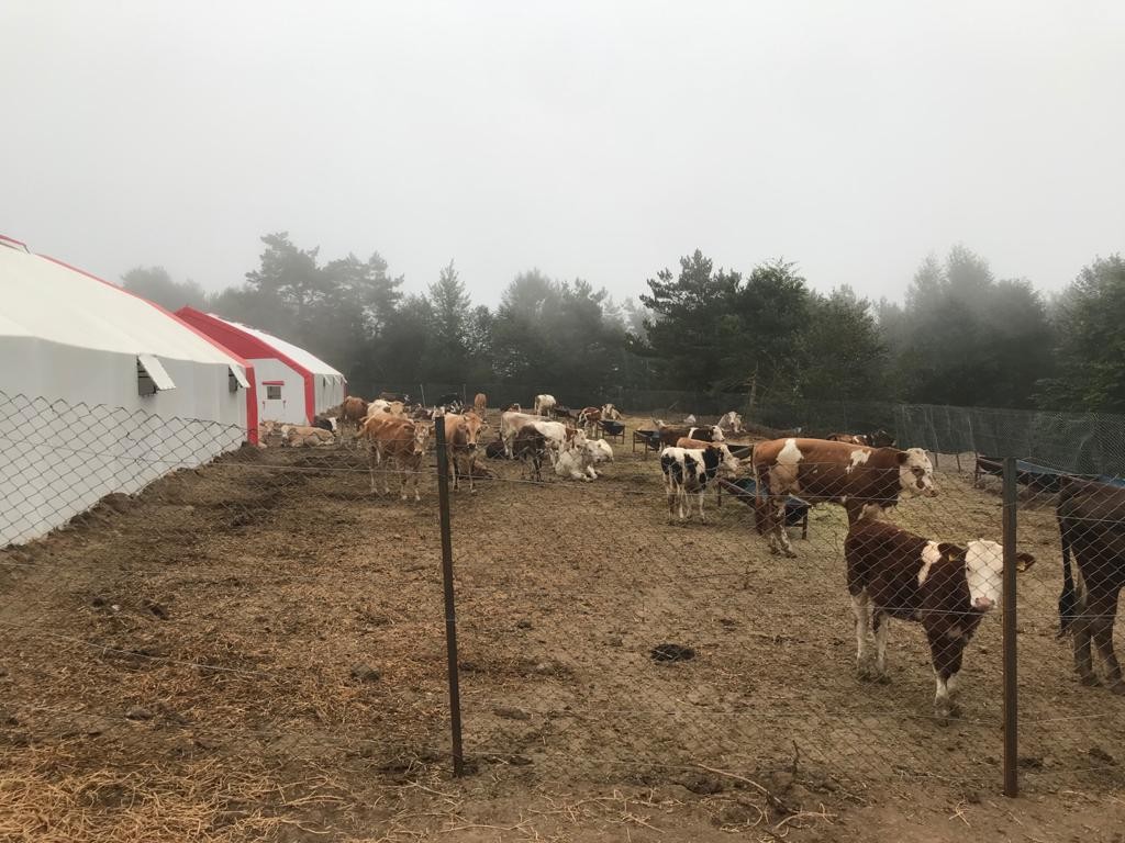 Sahte icra çetesinden 150 milyonluk vurgun