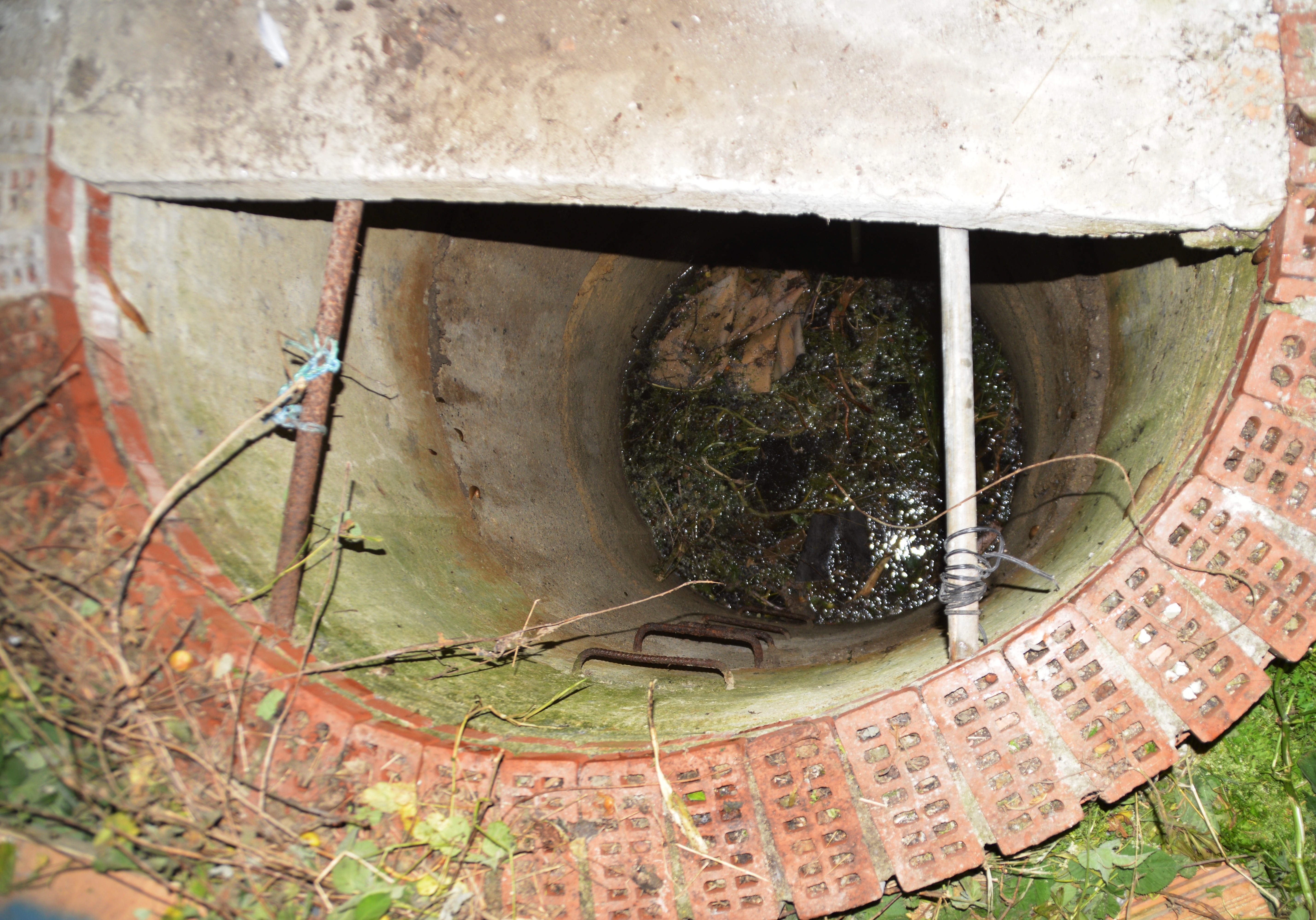 İş arkadaşını boğarak öldürüp kuyuya atan zanlı tutuklandı