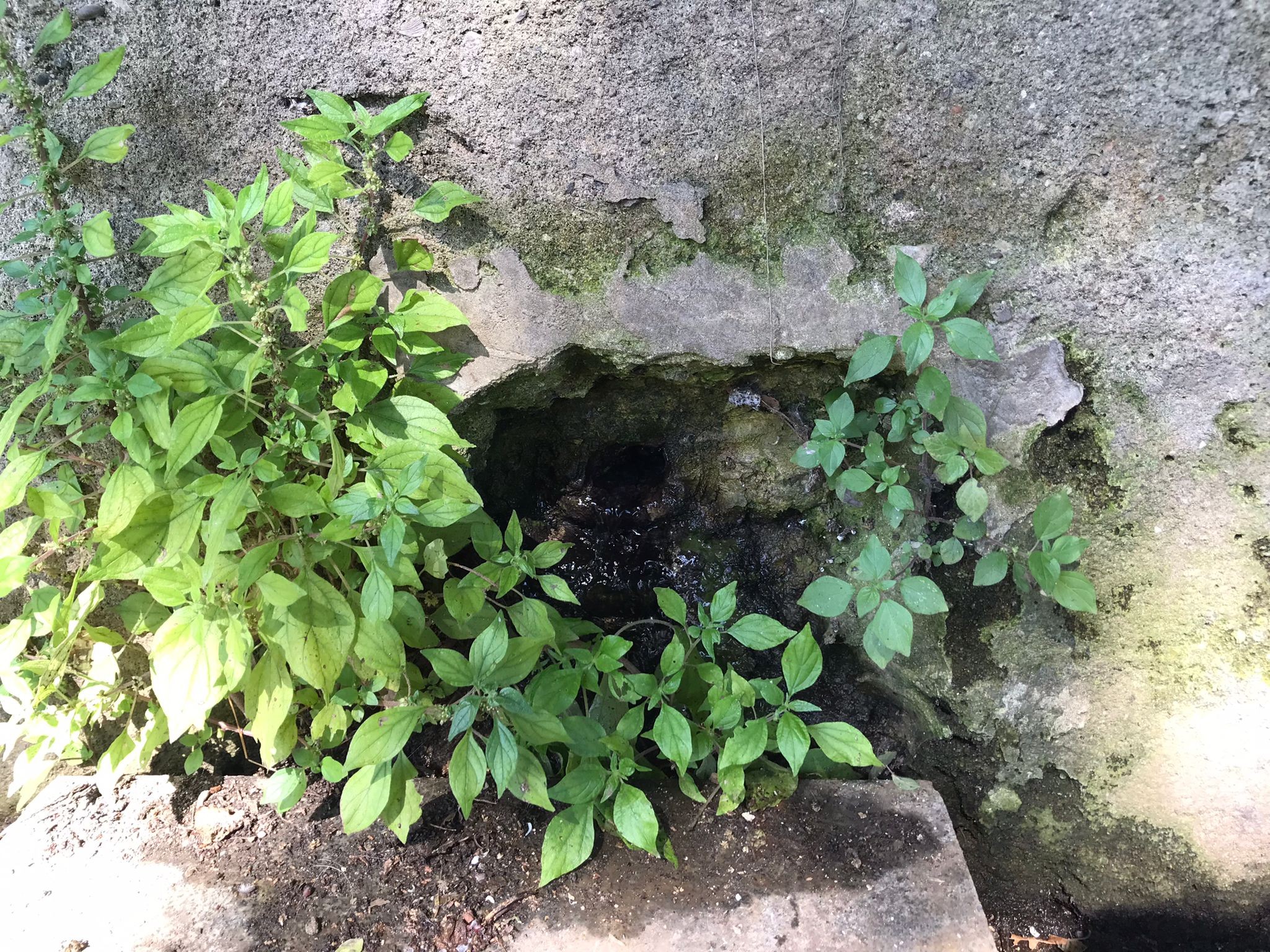 Üsküdar’daki 'Tarihi Harem İskelesi Ayazması' turizme kazandırılmayı bekliyor