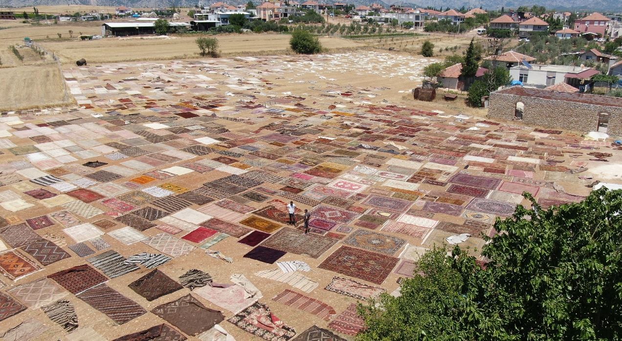 Antalya’da buğday tarlalarında ‘halı mevsimi’ başladı