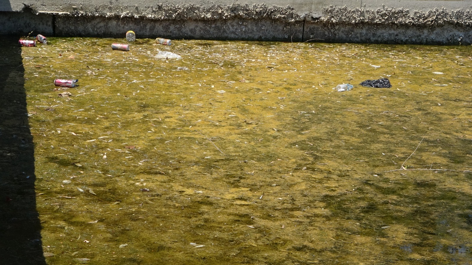Doğa harikası Titreyengöl yok olma tehlikesiyle karşı karşıya