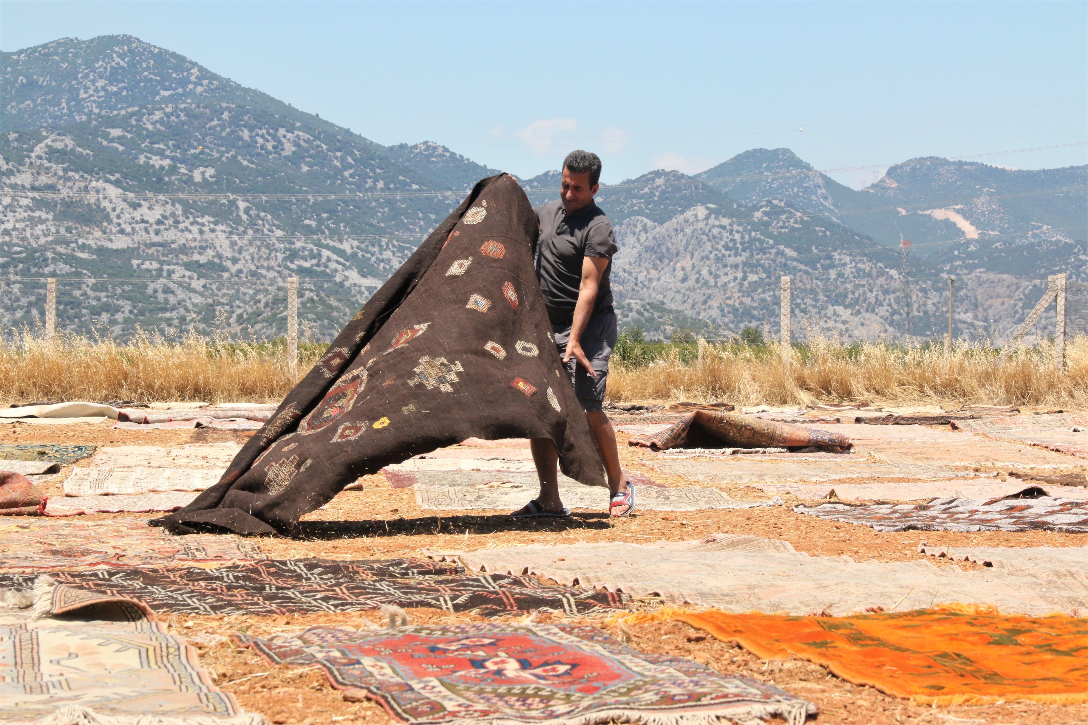 Antalya’da buğday tarlalarında ‘halı mevsimi’ başladı