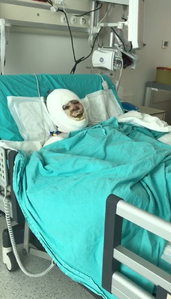 Mersin’de damat dehşeti