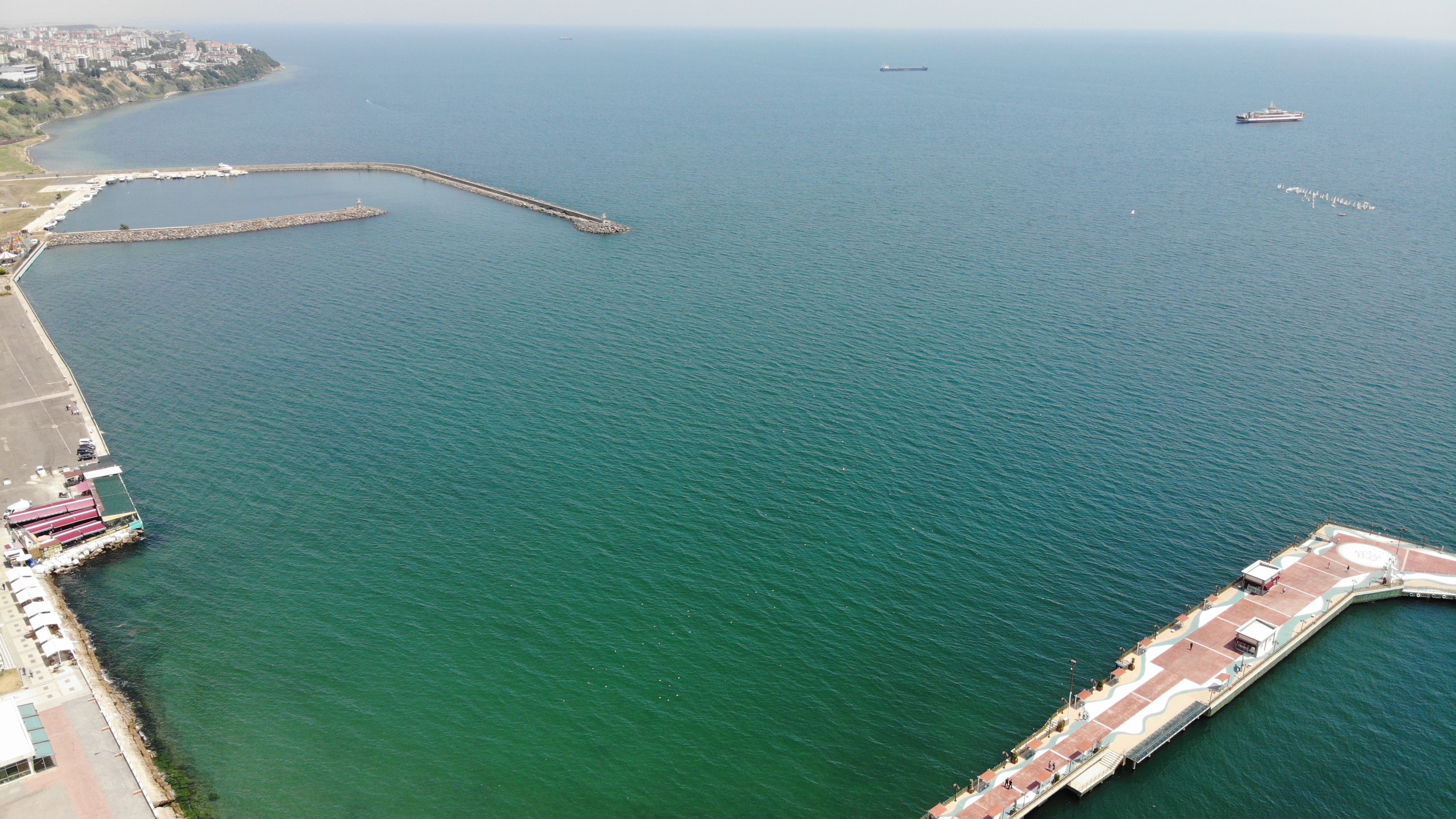 Tekirdağ’da 15 gündür salyadan eser yok: Dipteki salyalar da bitmek üzere