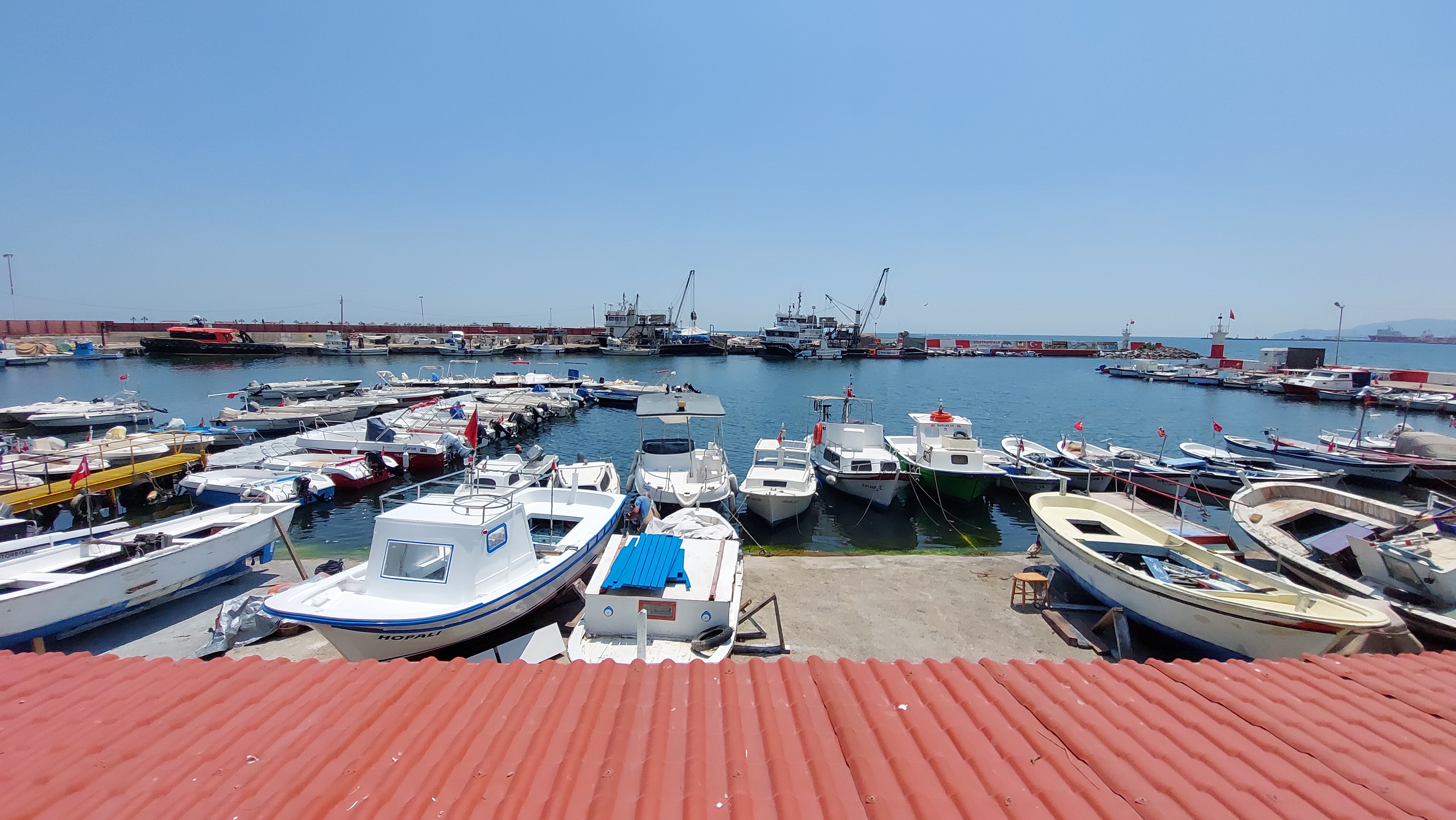 Tekirdağ’da 15 gündür salyadan eser yok: Dipteki salyalar da bitmek üzere