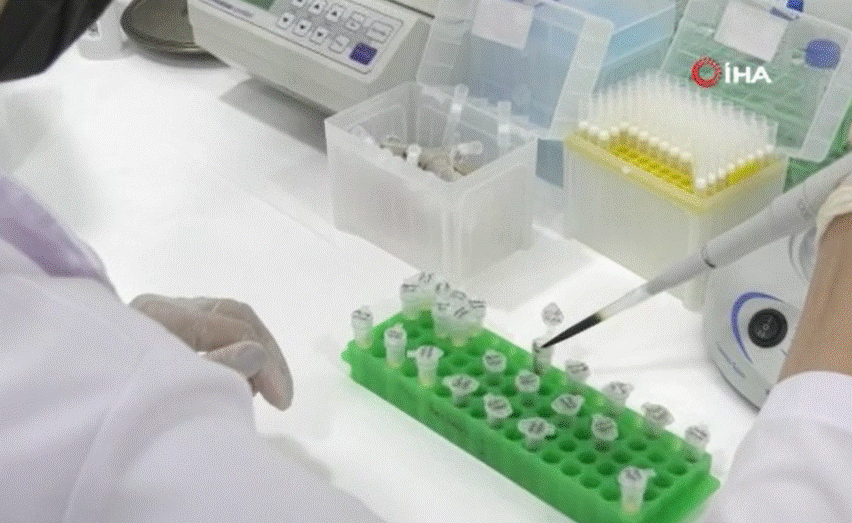 Evlenecek çiftlerden ücretsiz SMA testine yoğun ilgi