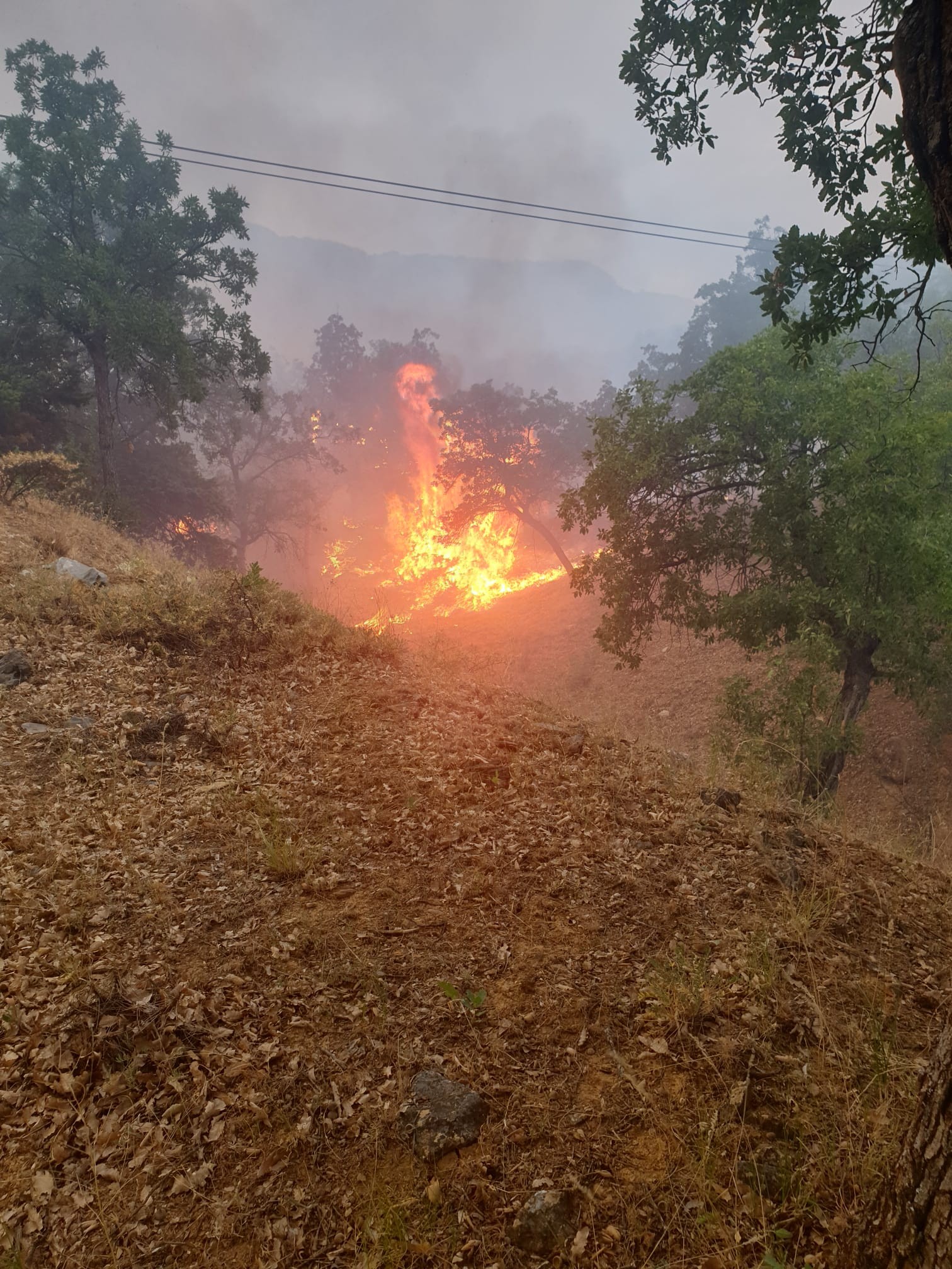 Tunceli’de piknikçilerin olduğu alana yıldırım düştü