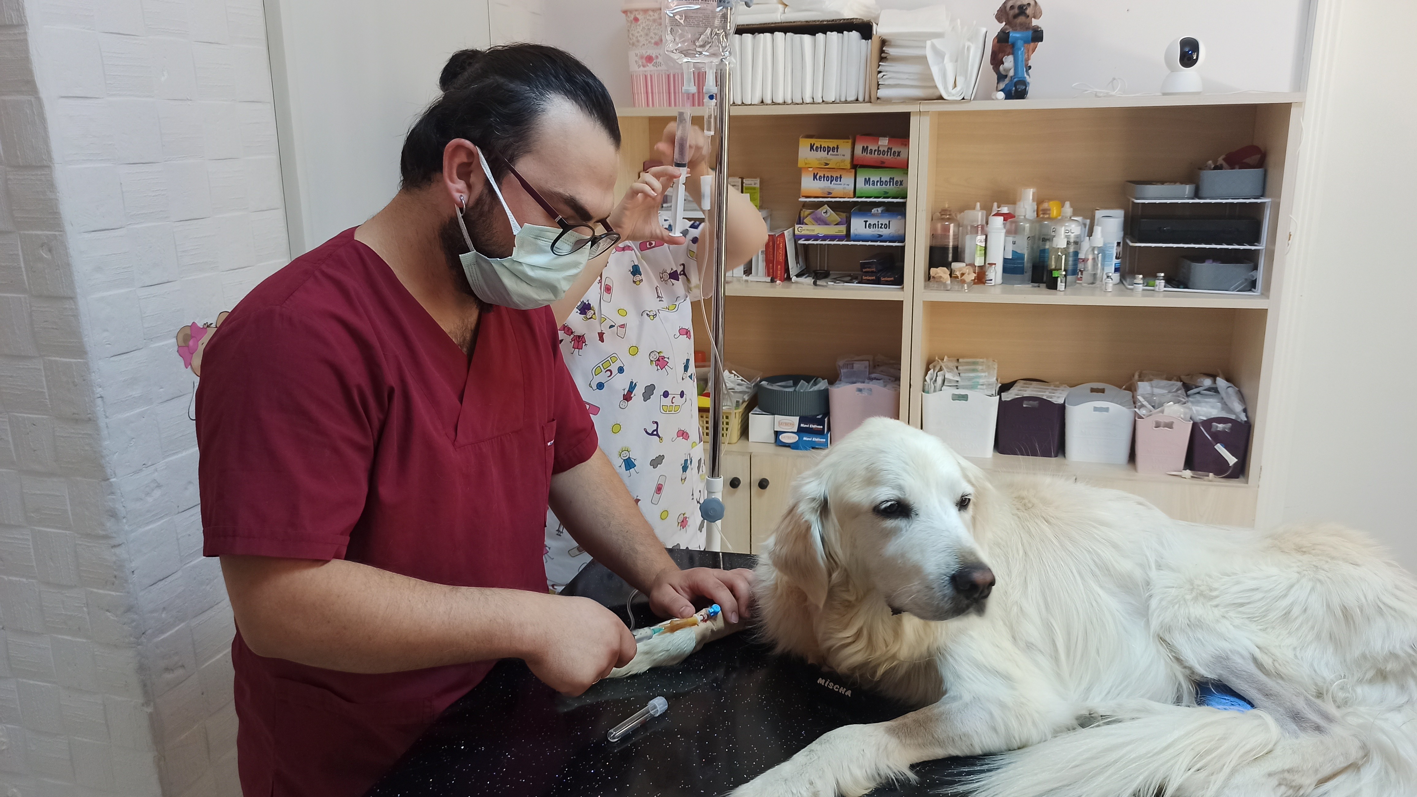 Böbrek yetmezliği teşhisi konulan Mischa’ya kök hücre tedavisi uygulandı