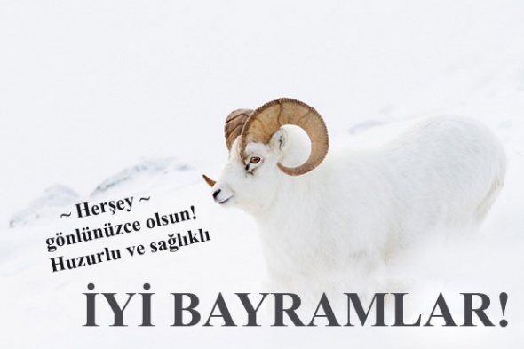 Kurban Bayramınız Mübarek Olsun!| Resimli Kurban Bayramı Whatsapp mesajları ve smsleri