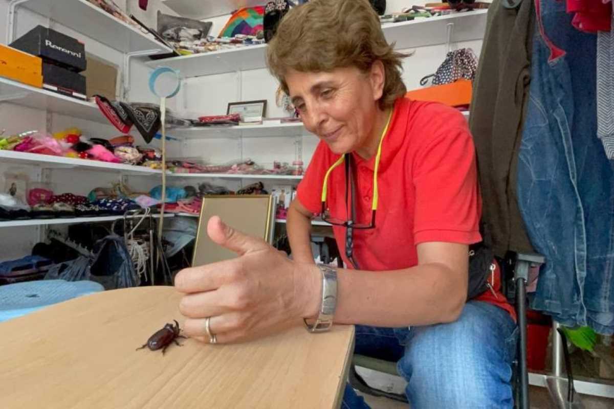 Boynuzlu gergedan böceğine gözü gibi bakıyor