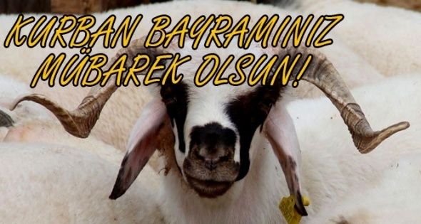 Kurban Bayramınız Mübarek Olsun!| Resimli Kurban Bayramı Whatsapp mesajları ve smsleri