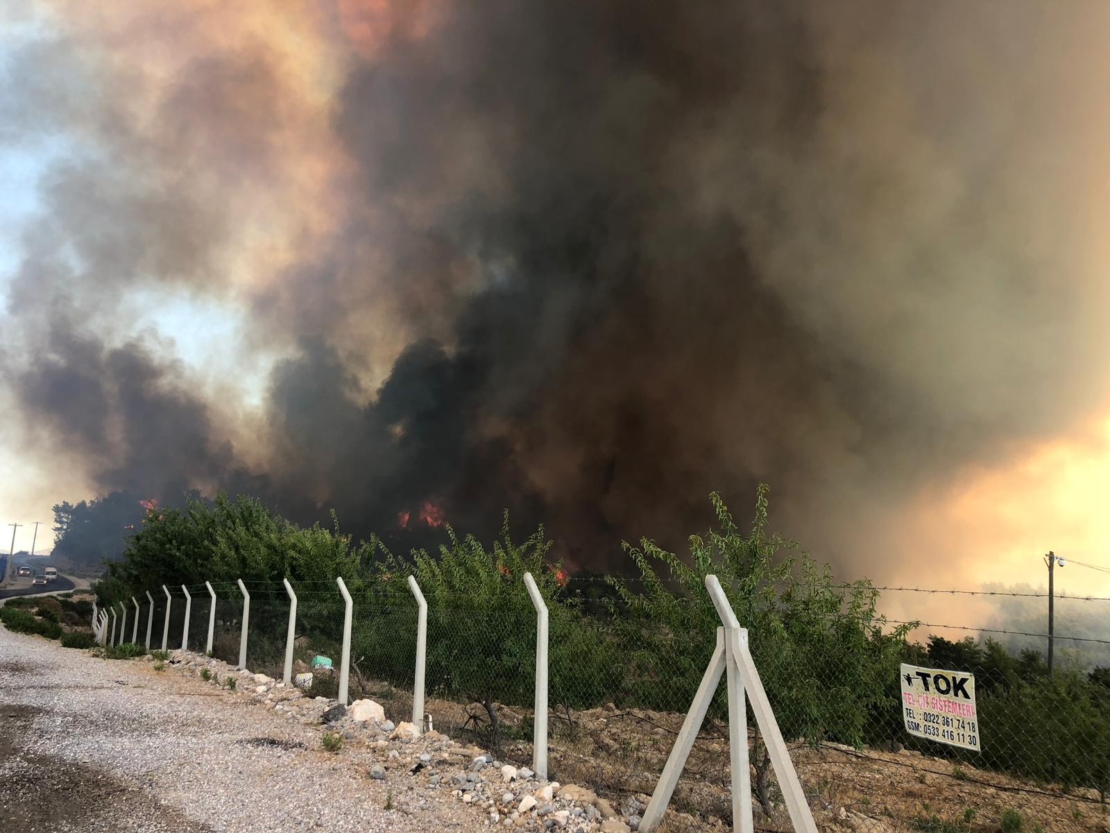 Antalya'daki orman yangını büyüyor! Rüzgar müdahaleyi zorlaştırıyor