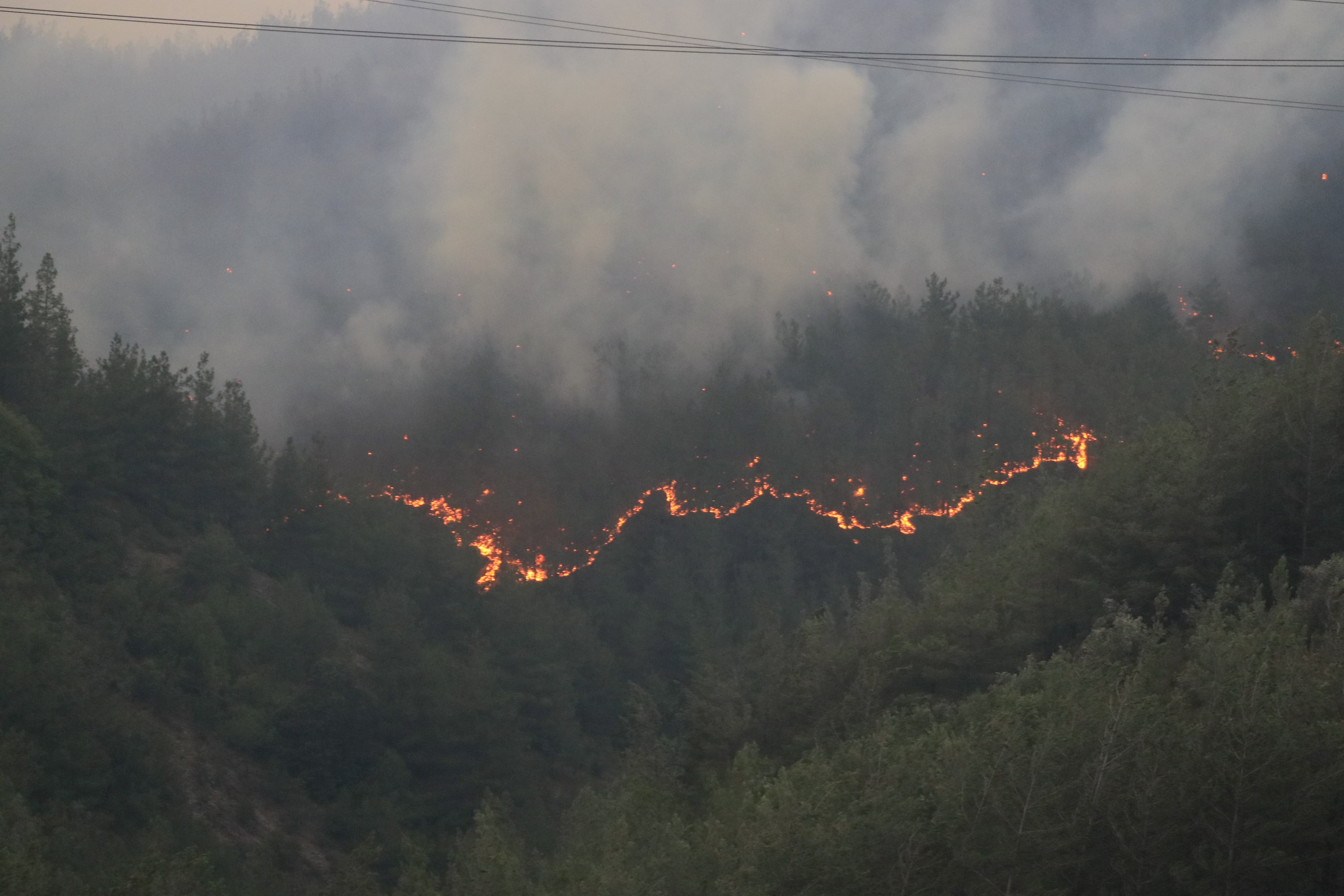 Adana’daki orman yangınında evler alevlere teslim oldu