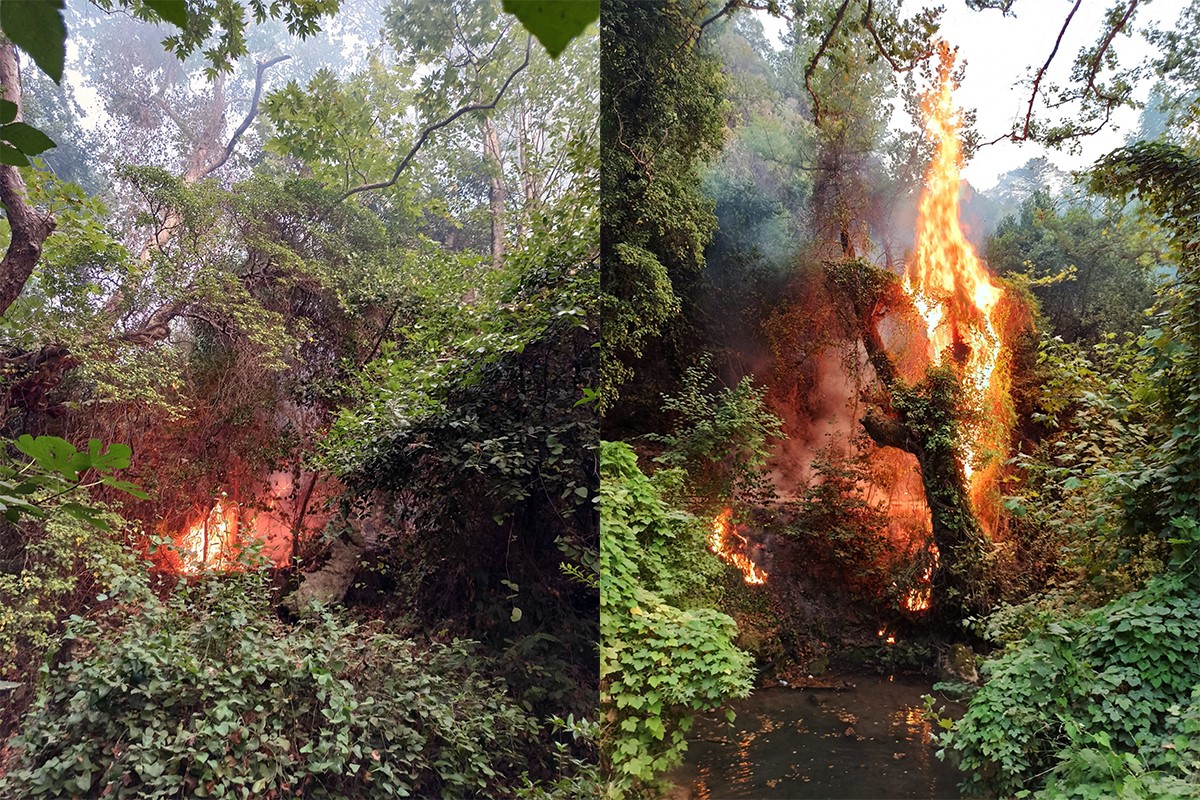 Tabiatın gizli hazinesi ‘Turgut Şelalesi’ de alevlere teslim oldu