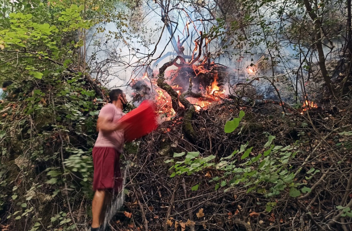 Tabiatın gizli hazinesi ‘Turgut Şelalesi’ de alevlere teslim oldu