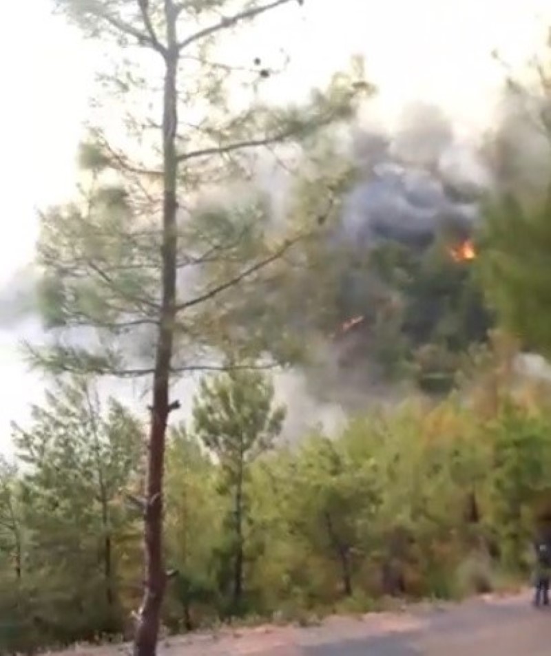 Mersin Aydıncık’ta iki orman yangını