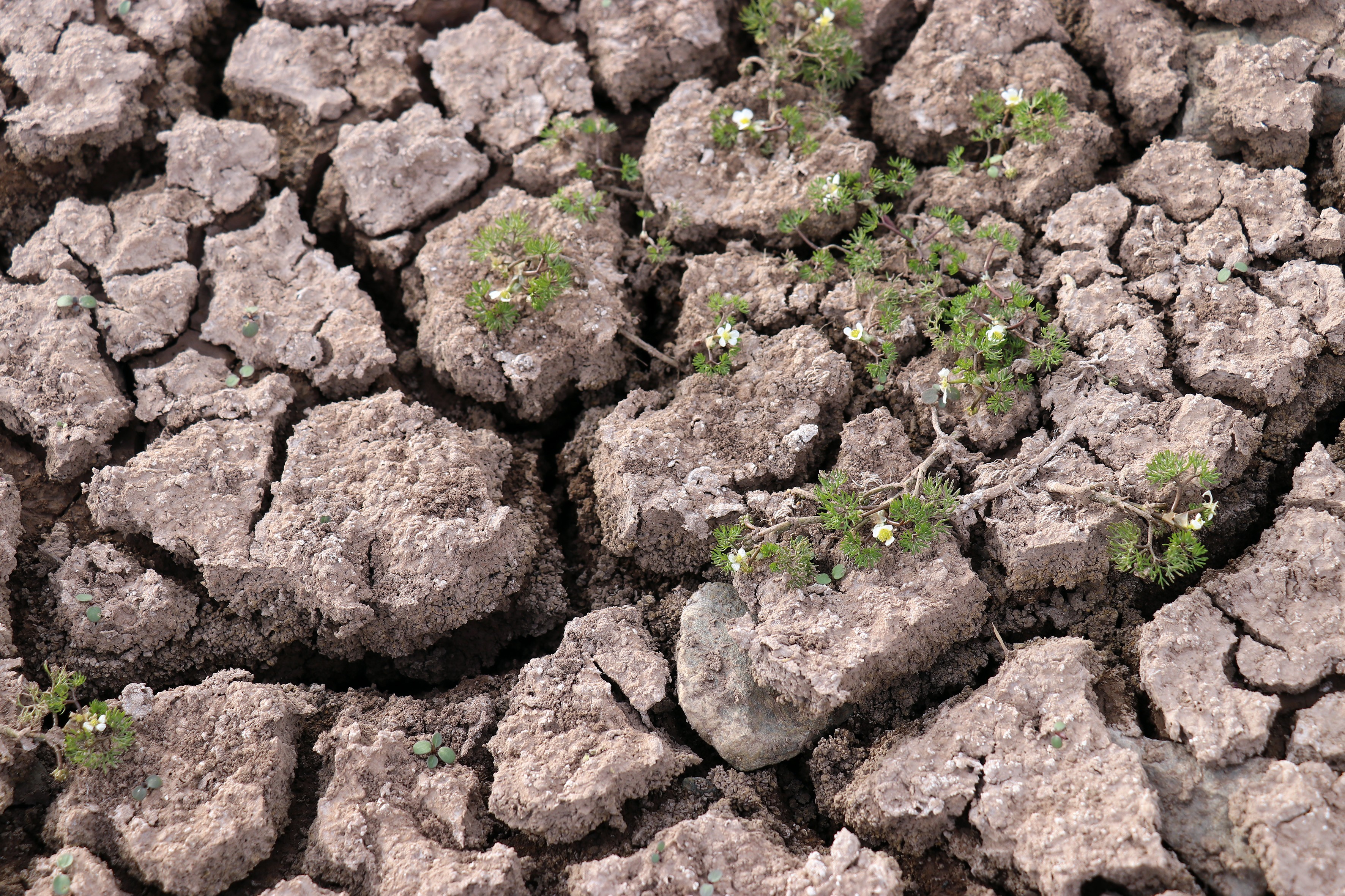 Dipsiz Göl 'Dipsiz Çöl' oldu