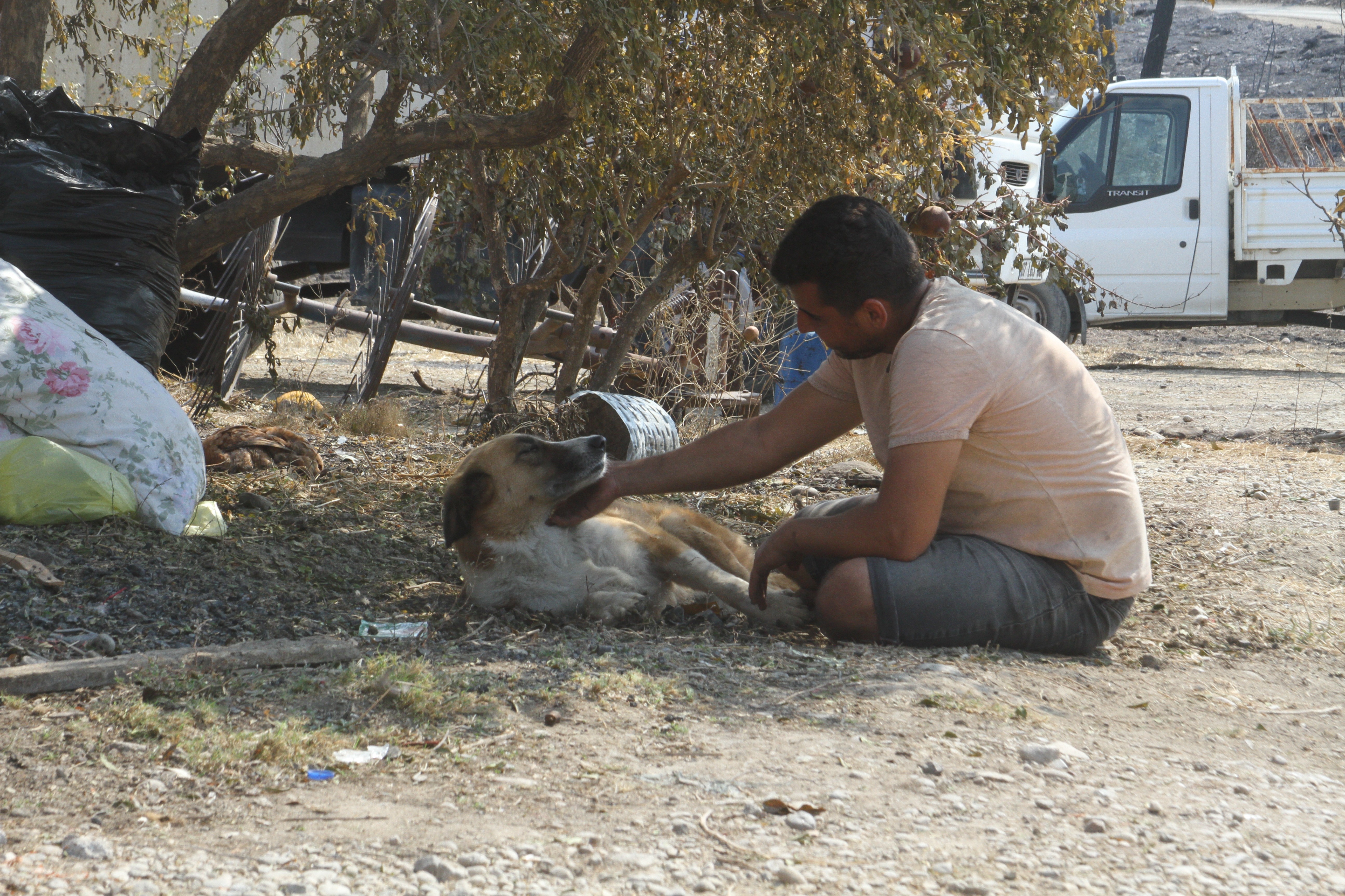 Yangında kaybolan köpeği 4 gün sonra geri geldi, gözlerine inanamadı