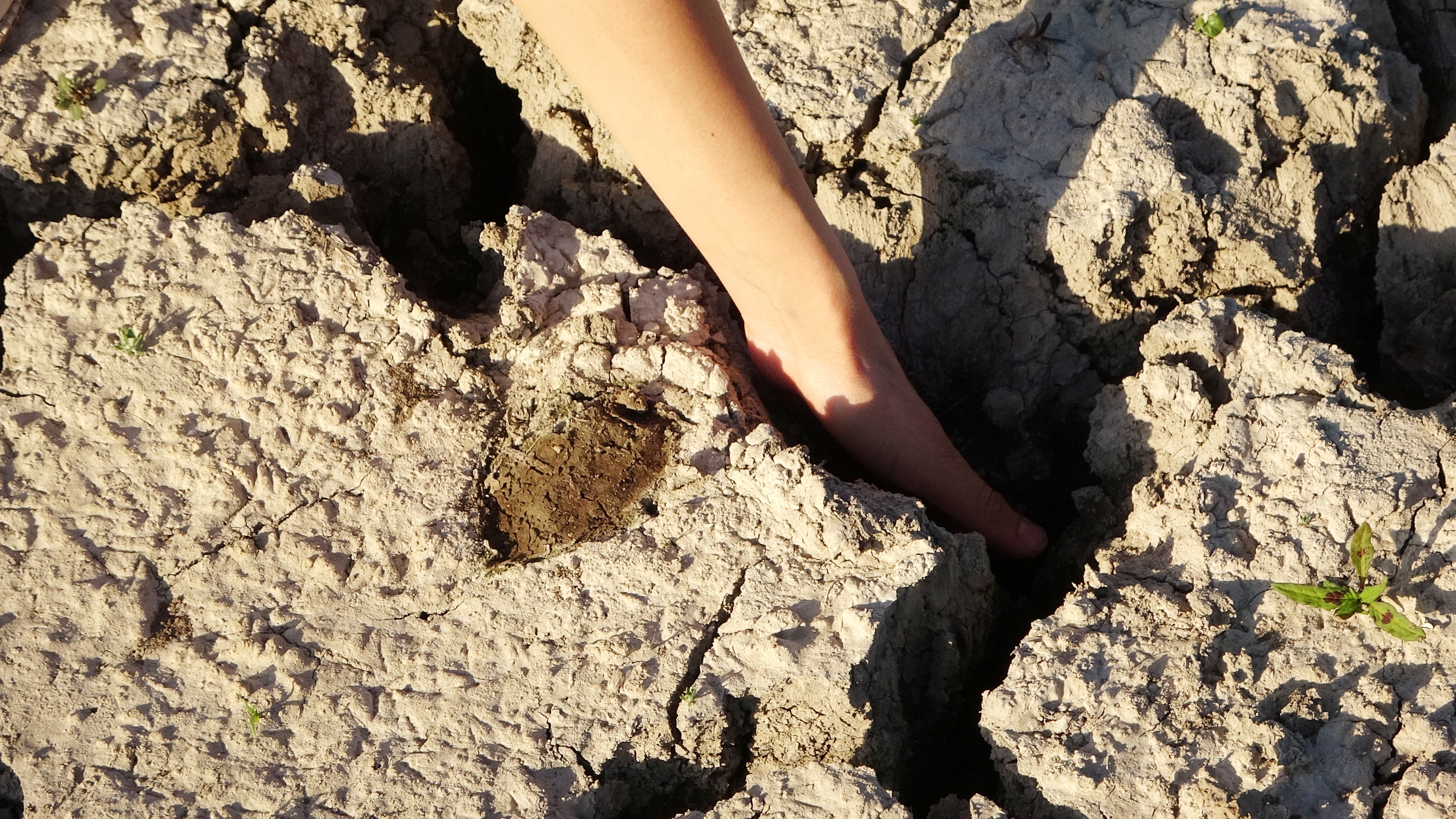 Alparslan-1 Barajı'nda sular çekildi, kayıklar karaya oturdu