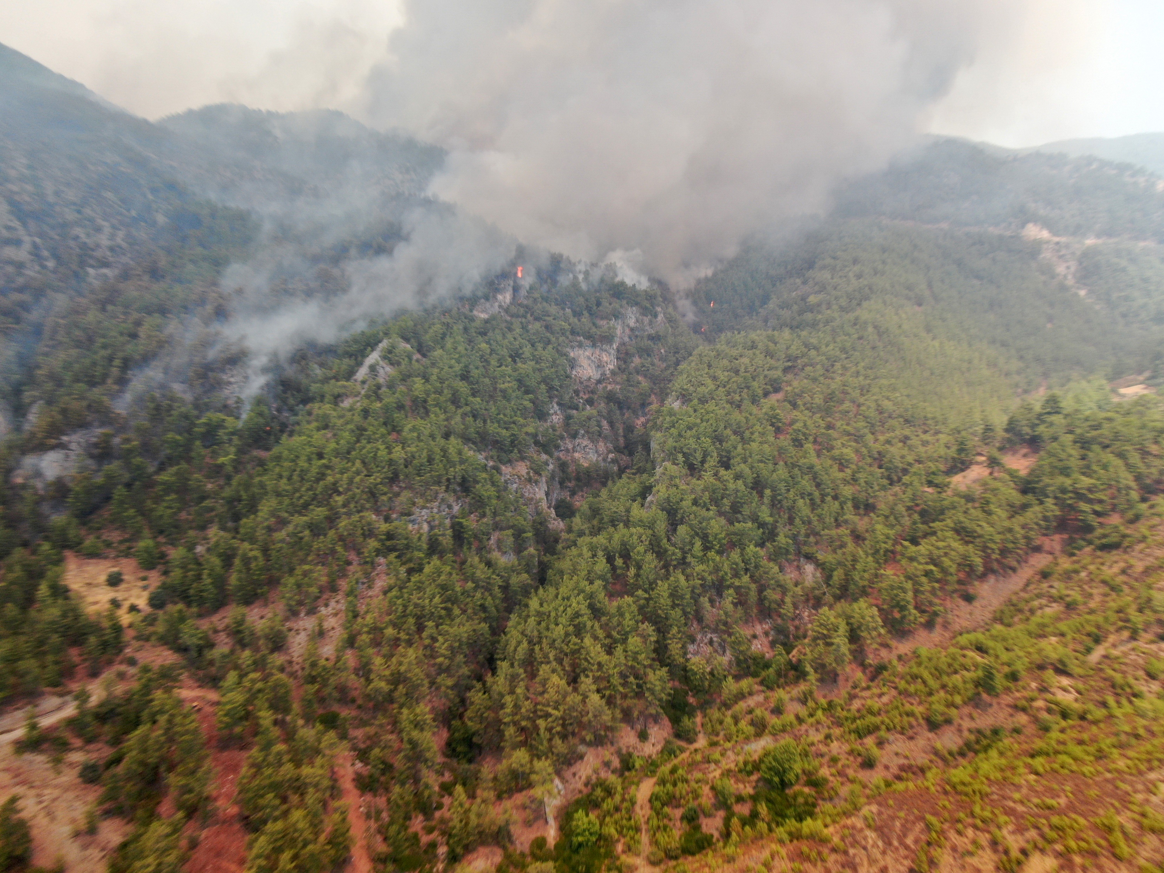 Köyceğiz’de dumanlar tekrar yükseldi