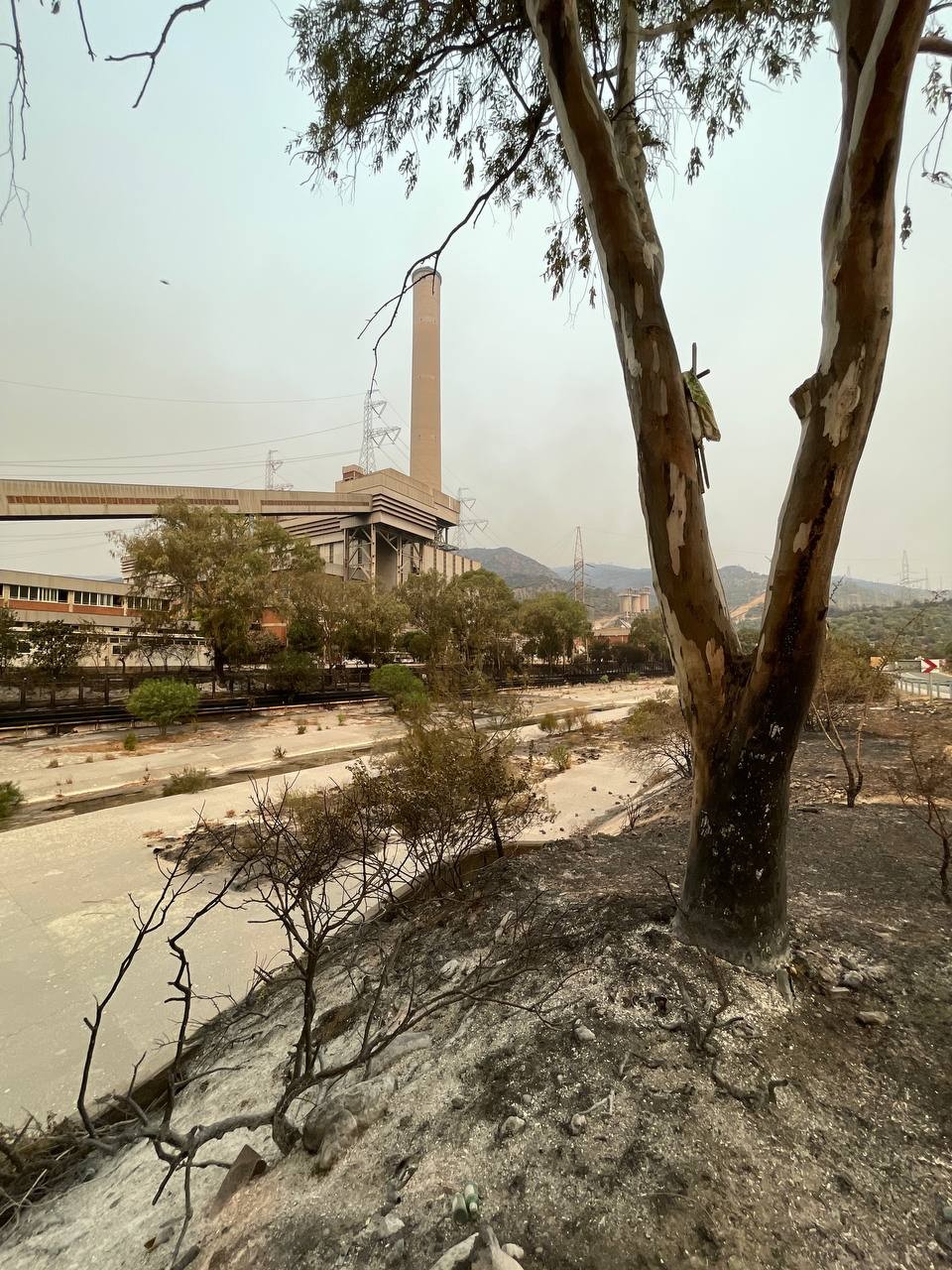 Yangından sonra Termik Santral bölgesi böyle görüntülendi