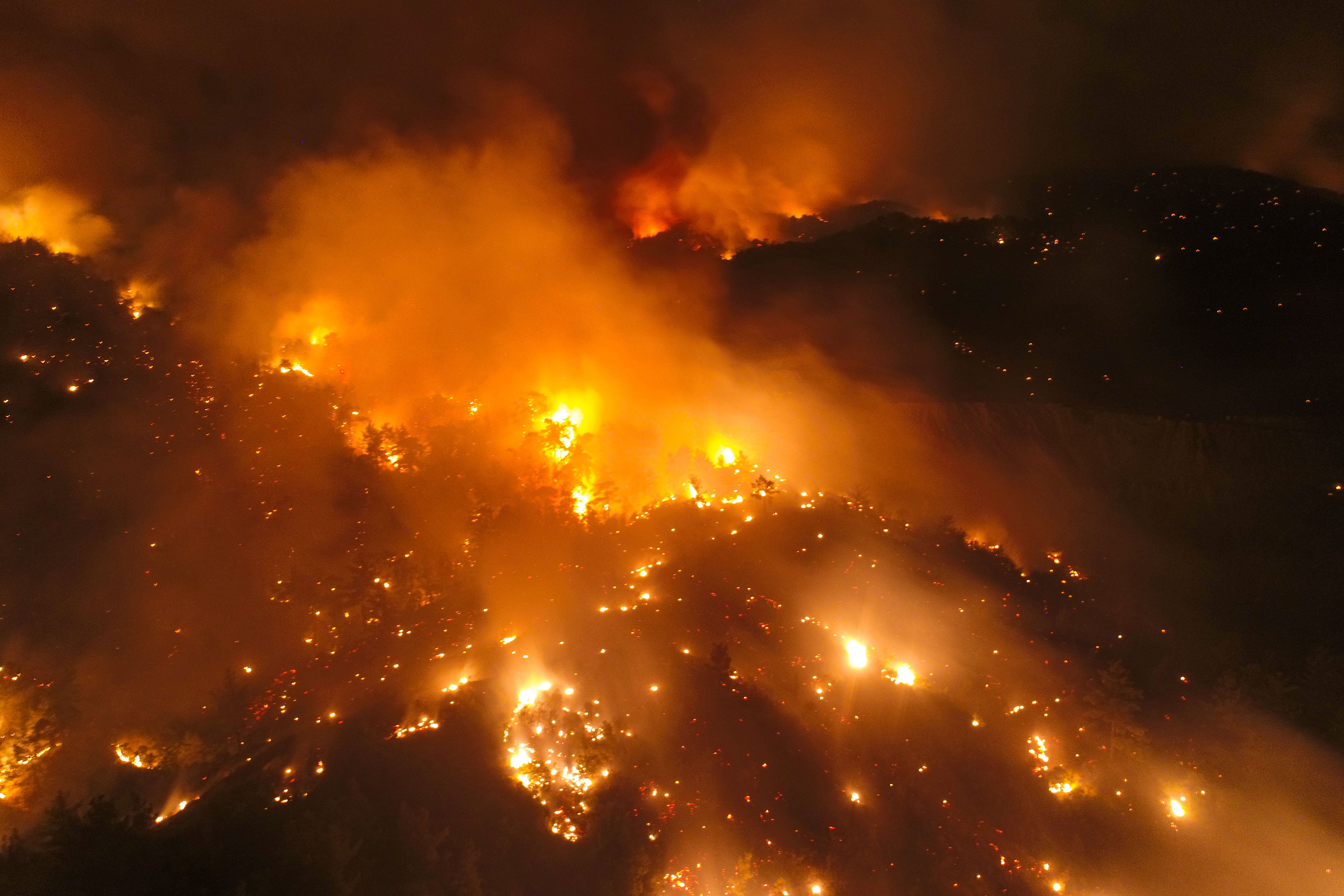 Aydın’da alevler geceyi sardı