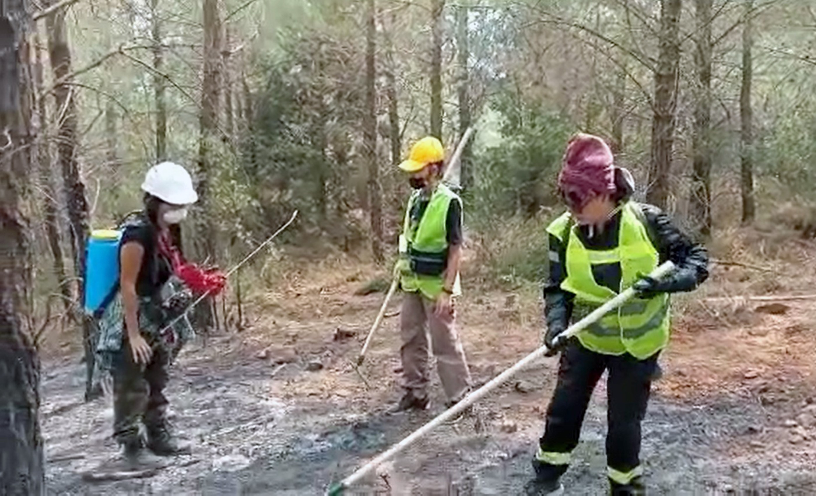 Oyuncu Mehtap Bayri: 'Ormanları yakanları unutmayalım'