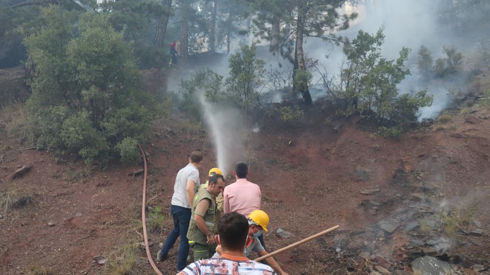 Devlet millet el ele yangınla mücadele