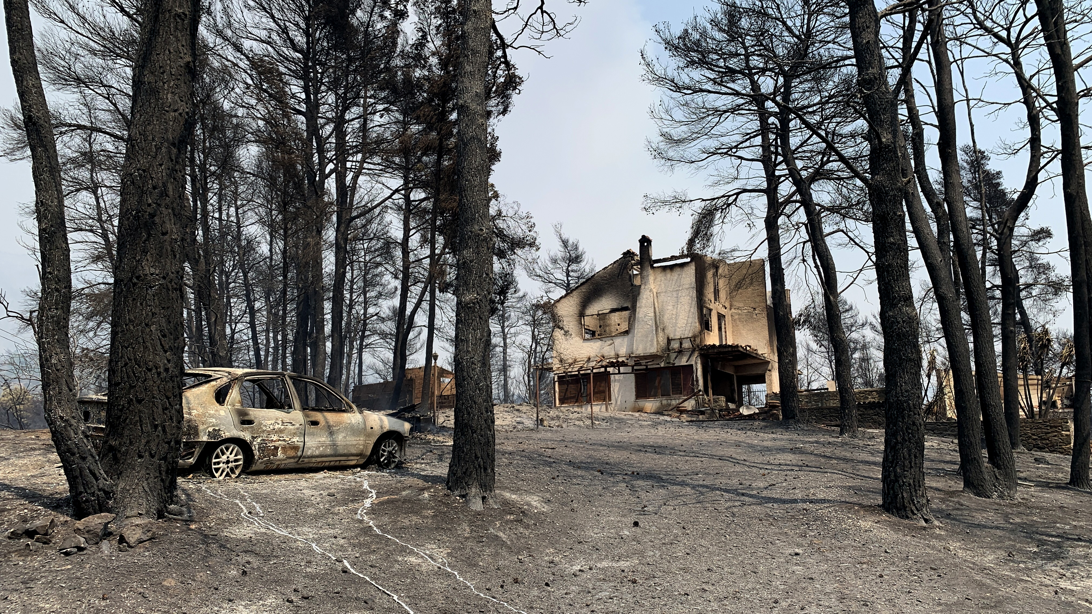 Yunanistan’ın Eğriboz Adası'nda 150 ev küle döndü