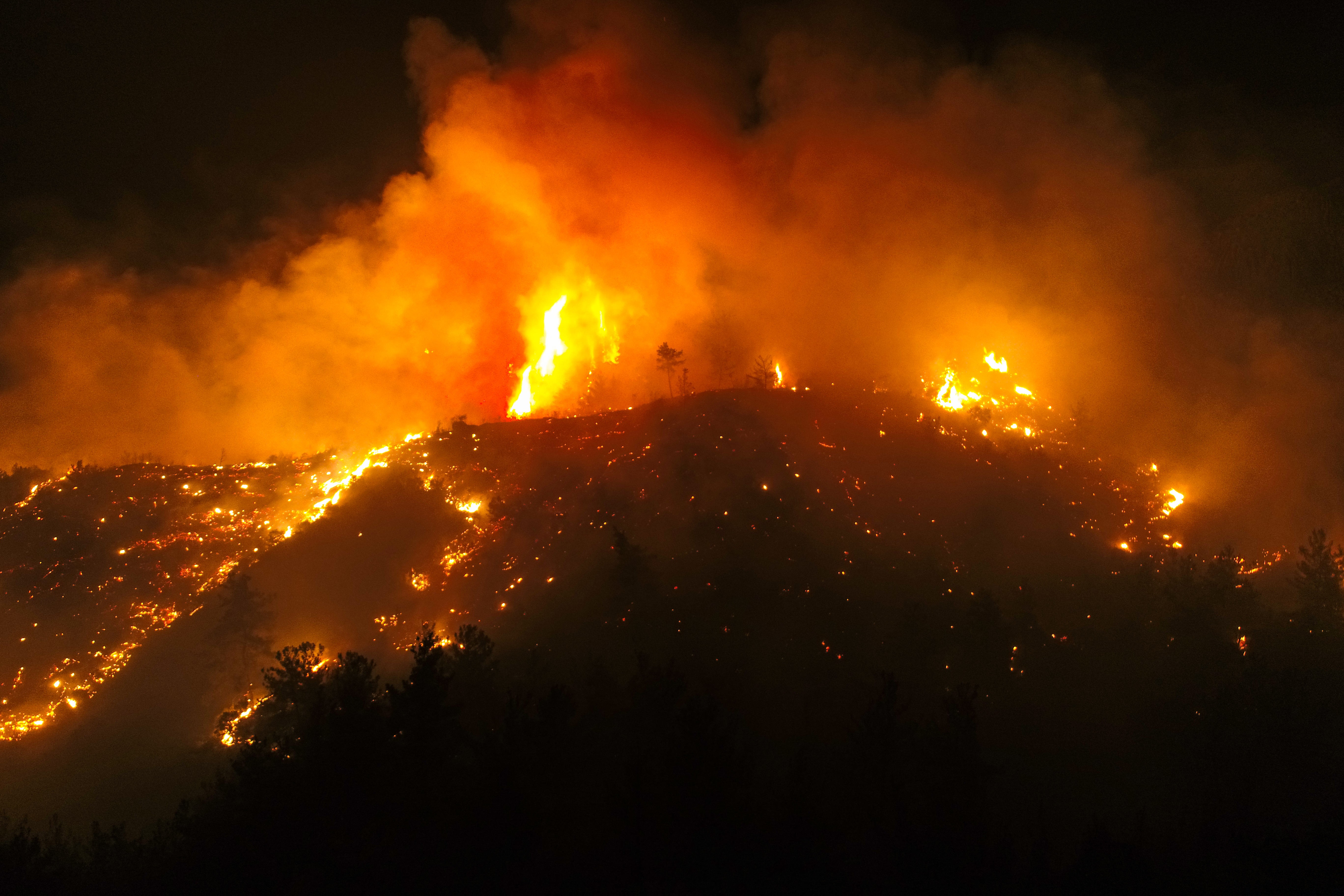 Aydın’da alevler geceyi sardı