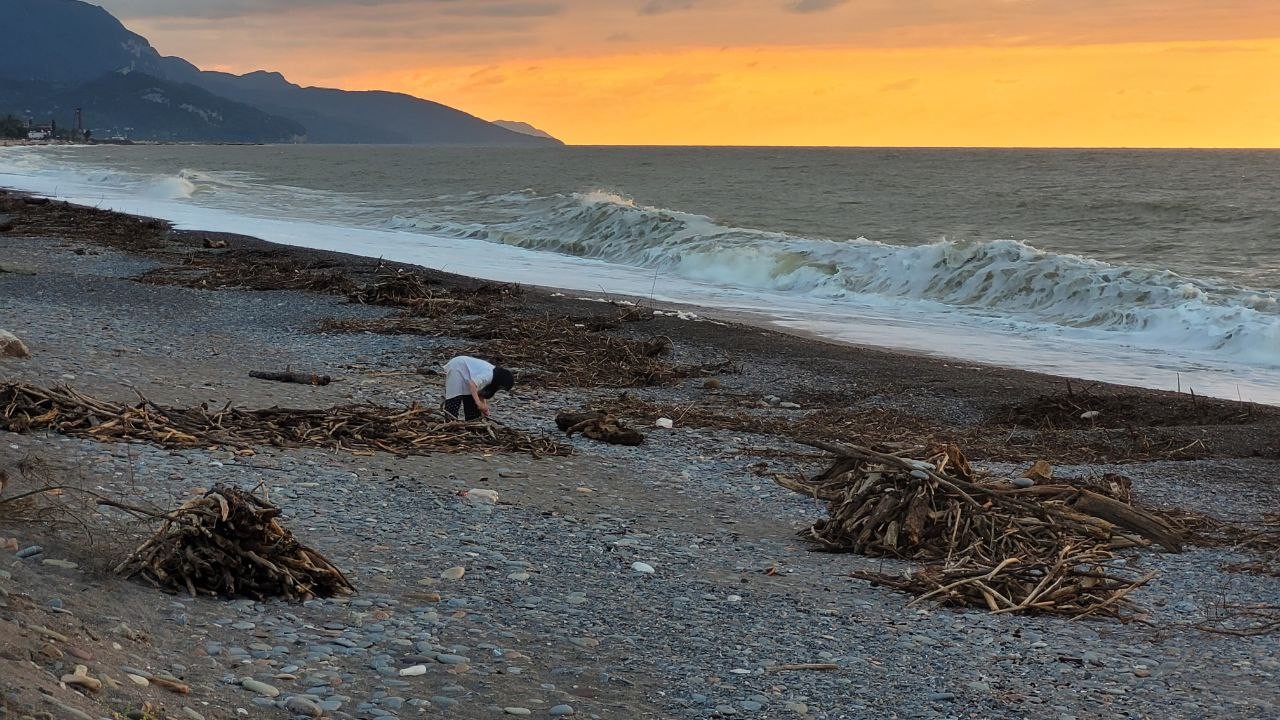 Selin etkili olduğu Kastamonu’da sahile vuran odunları vatandaşlar topluyor