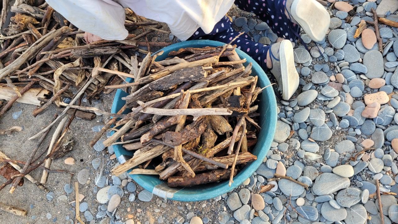 Selin etkili olduğu Kastamonu’da sahile vuran odunları vatandaşlar topluyor